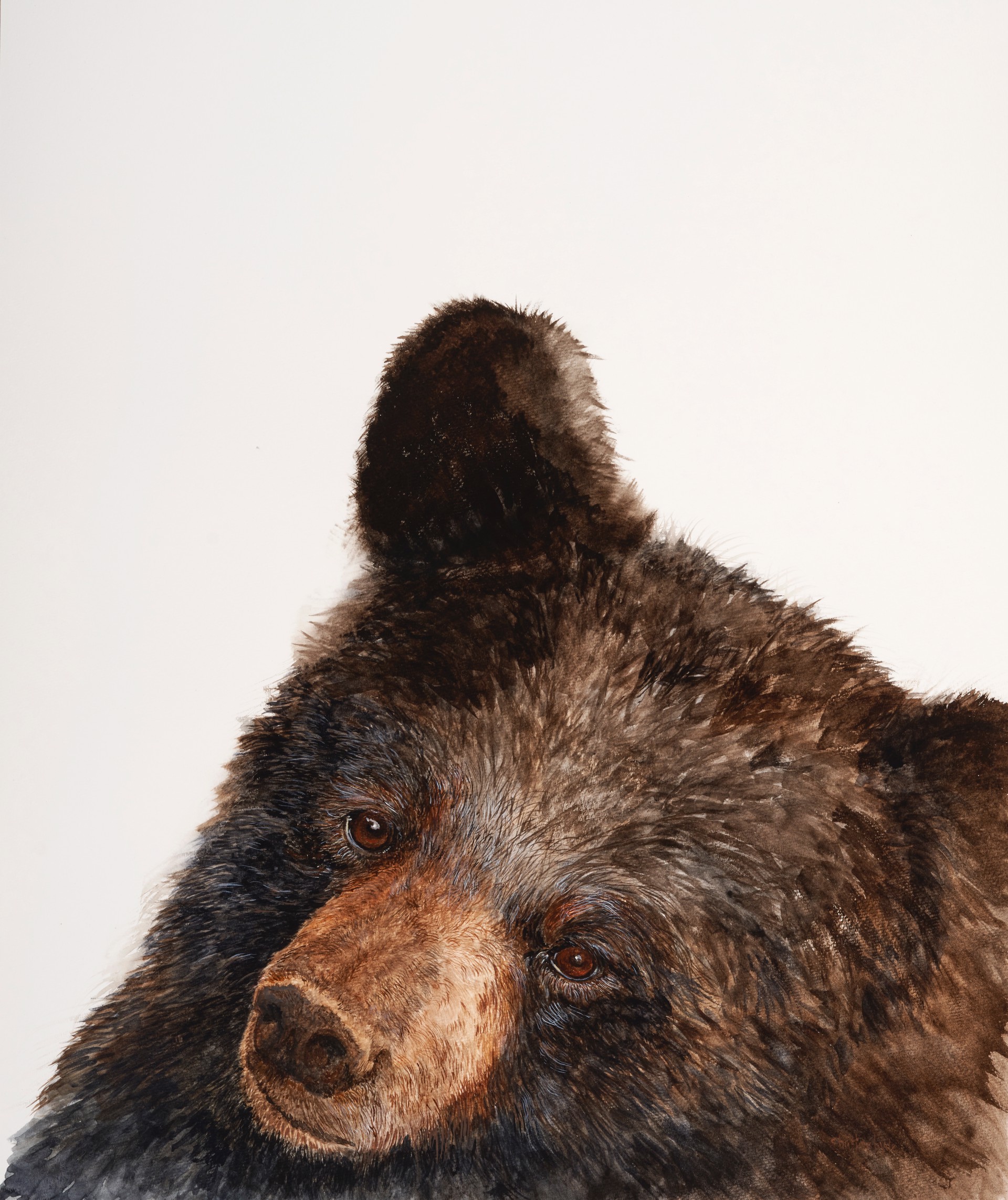 Bernie the Bear by Christine Hyde