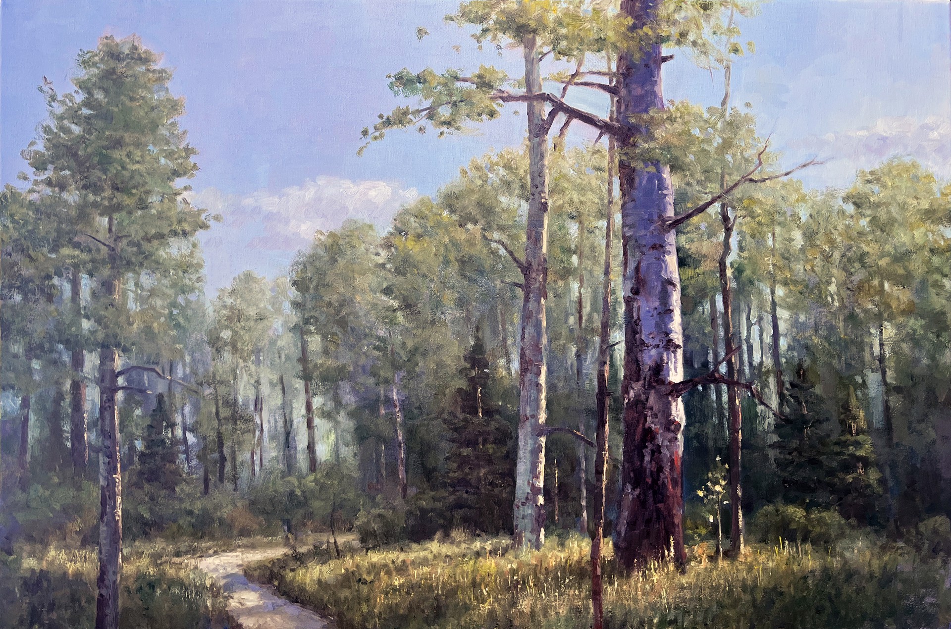 Forest Patriarch by Jim Wilcox
