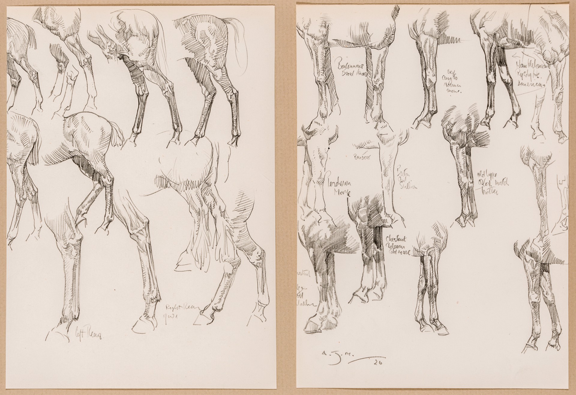 HORSES’ HINDQUARTER AND LEG STUDIES by Sir Alfred James Munnings