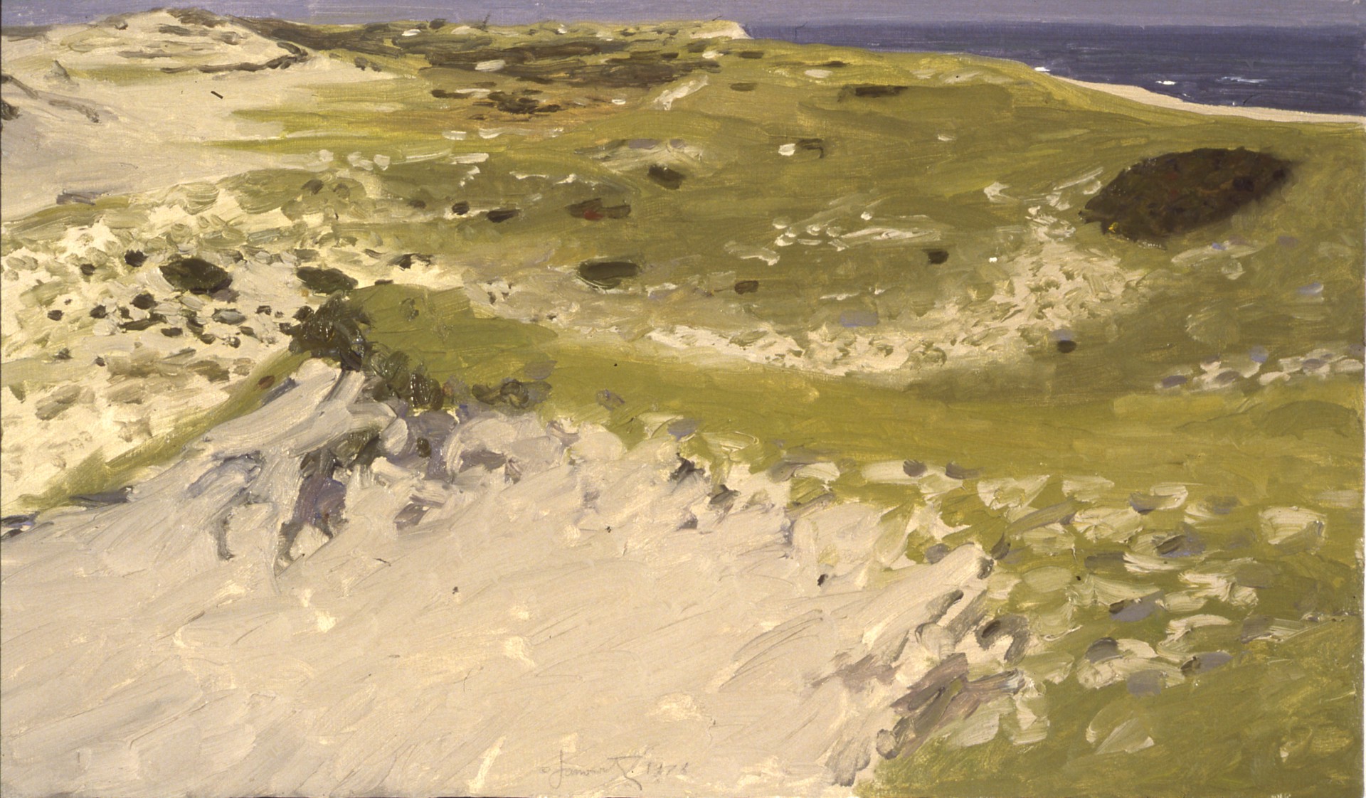 View From Euphoria by Joel Janowitz