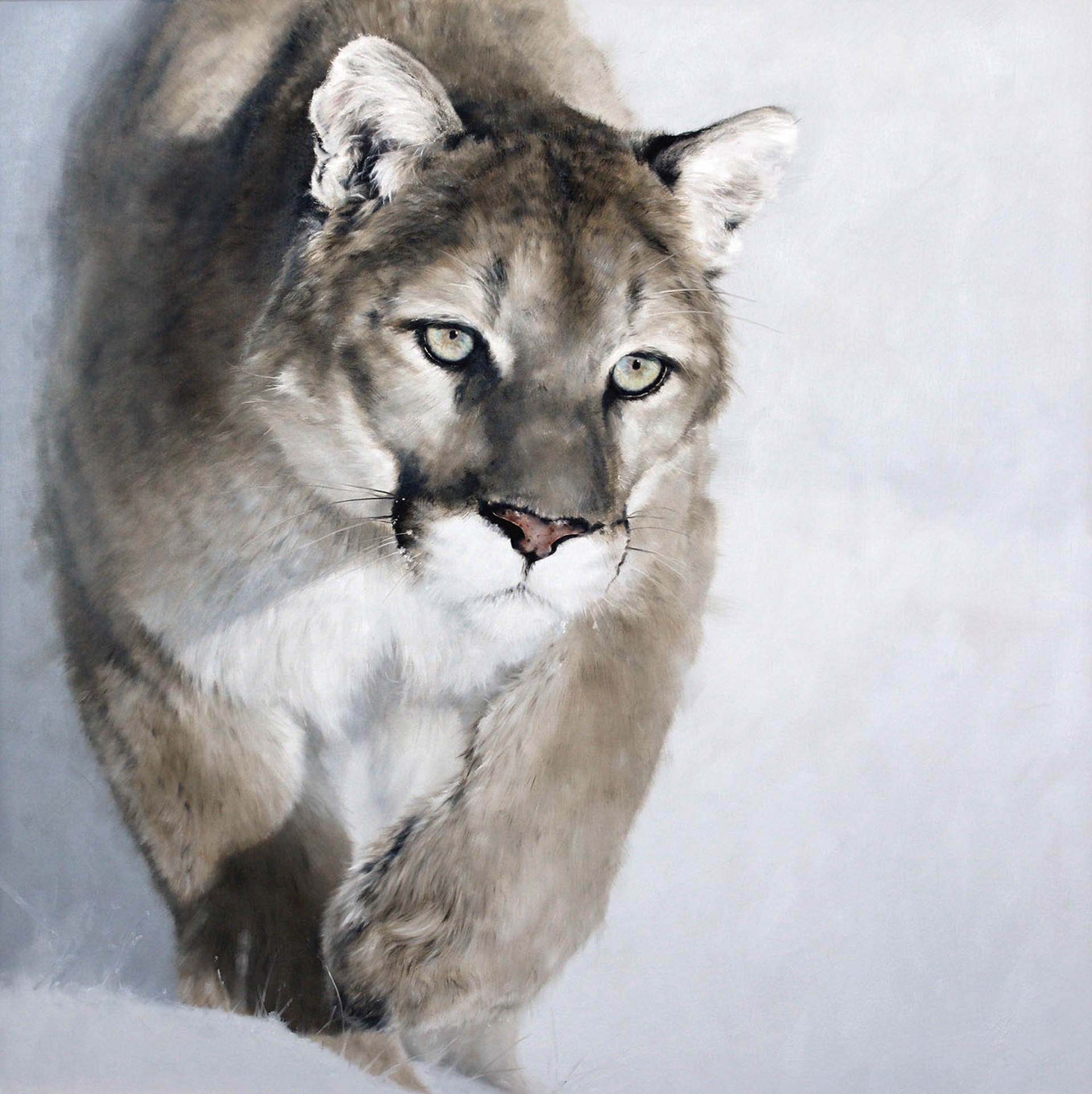 Original Oil Painting By Doyle Hostetler Featuring A Cougar Walking Forward From White Background 