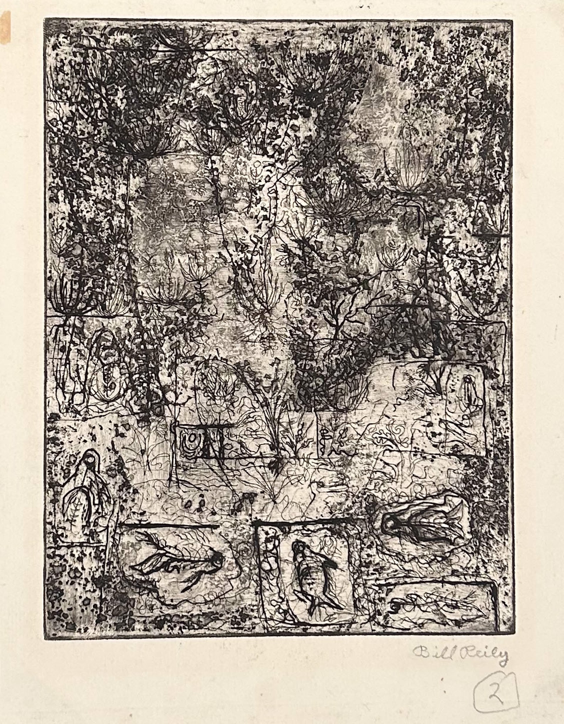 2b. Fish Pond by Bill Reily - Prints