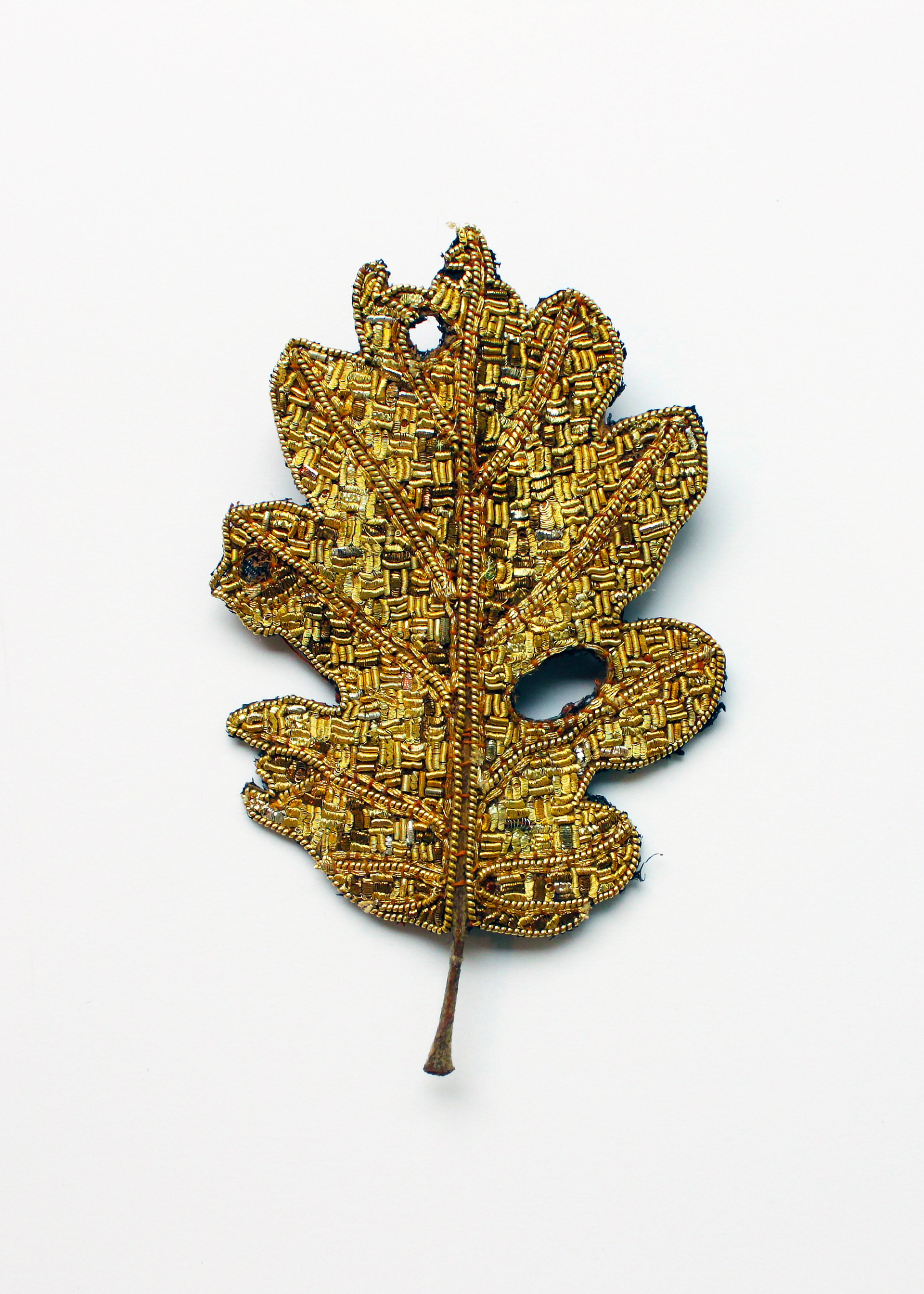 The Impermanence of Life: Oak Leaf from South Carolina by Tiao Nithakhong Somsanith