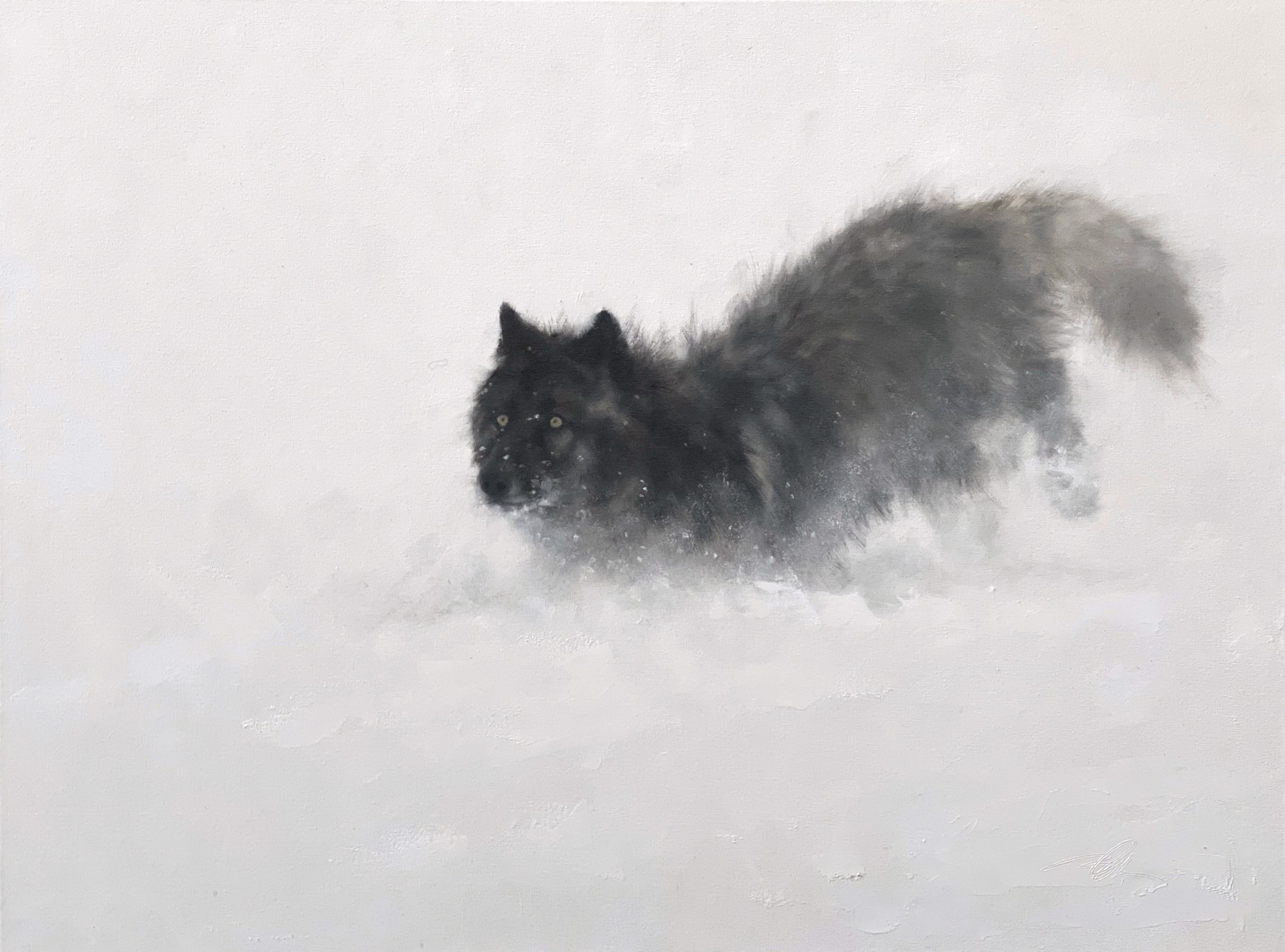 Original Oil Painting Featuring A Black Wolf And White Snow Background