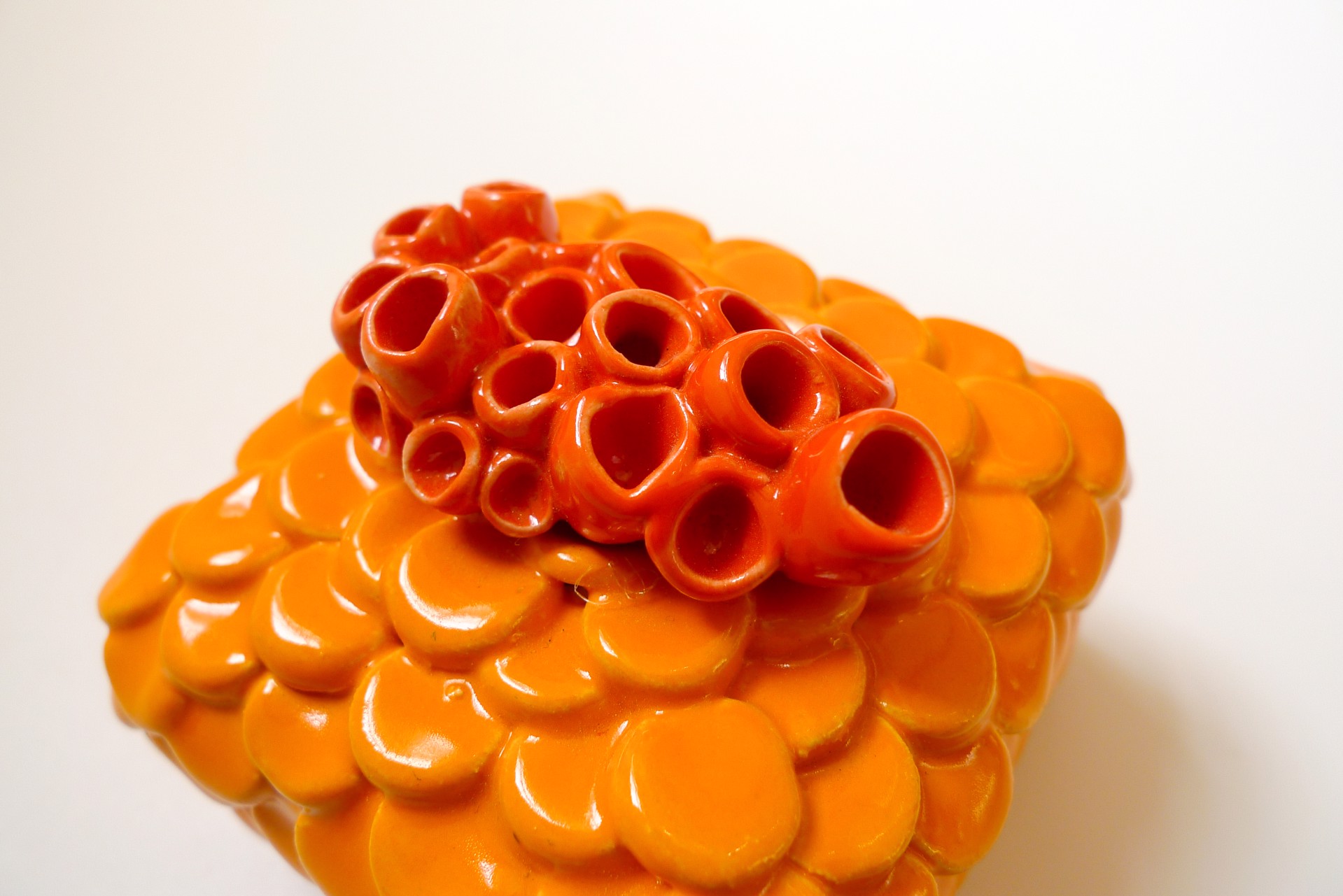 Orange Disc and Barnacles Wall Box by Rachelle Miller