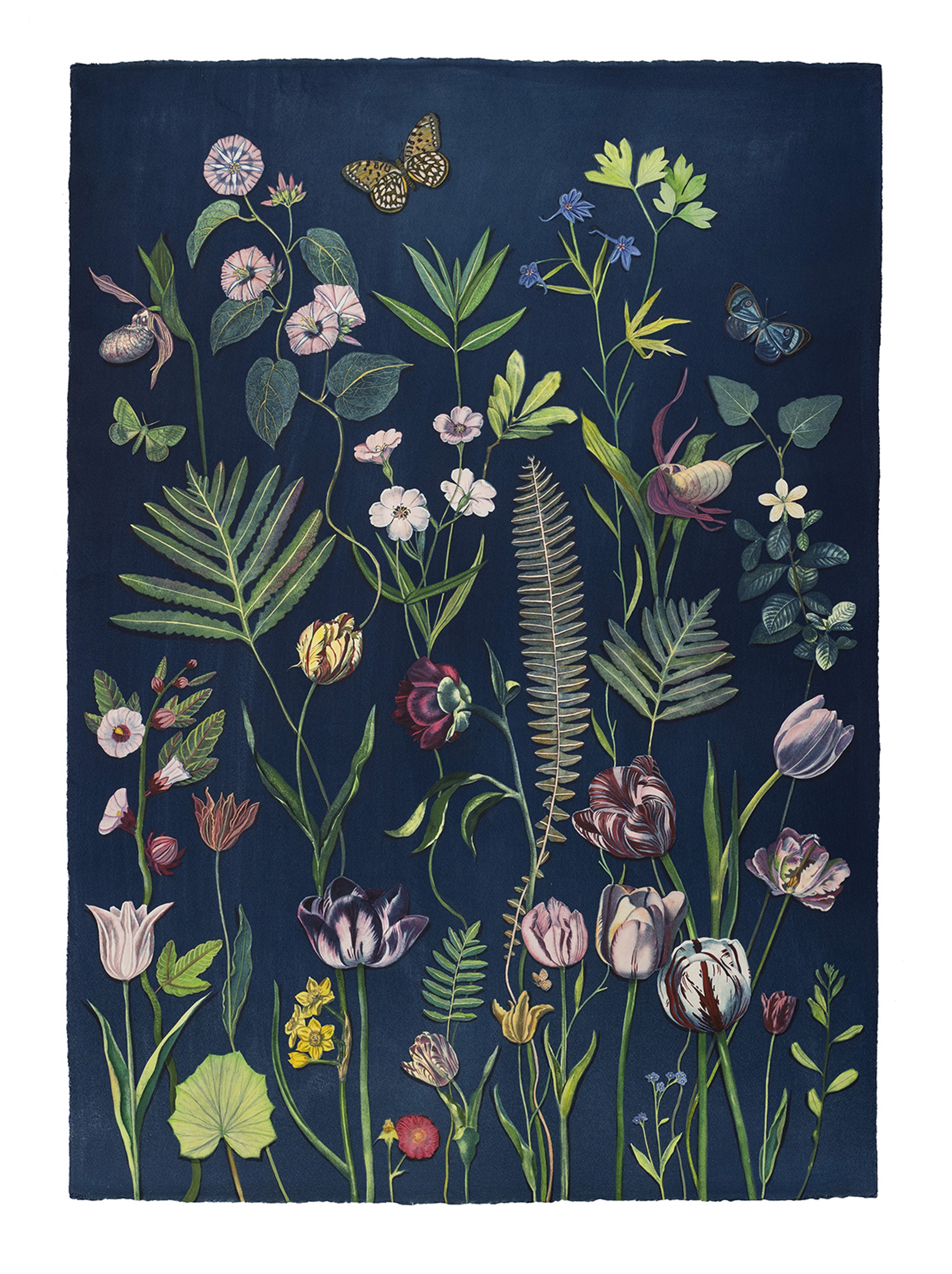 Picturesque Botany (Tulip, Fern, Morning Glory, Delphinium, Lady Slipper Orchid, Rose, Pollinators, etc.) by Julia Whitney Barnes