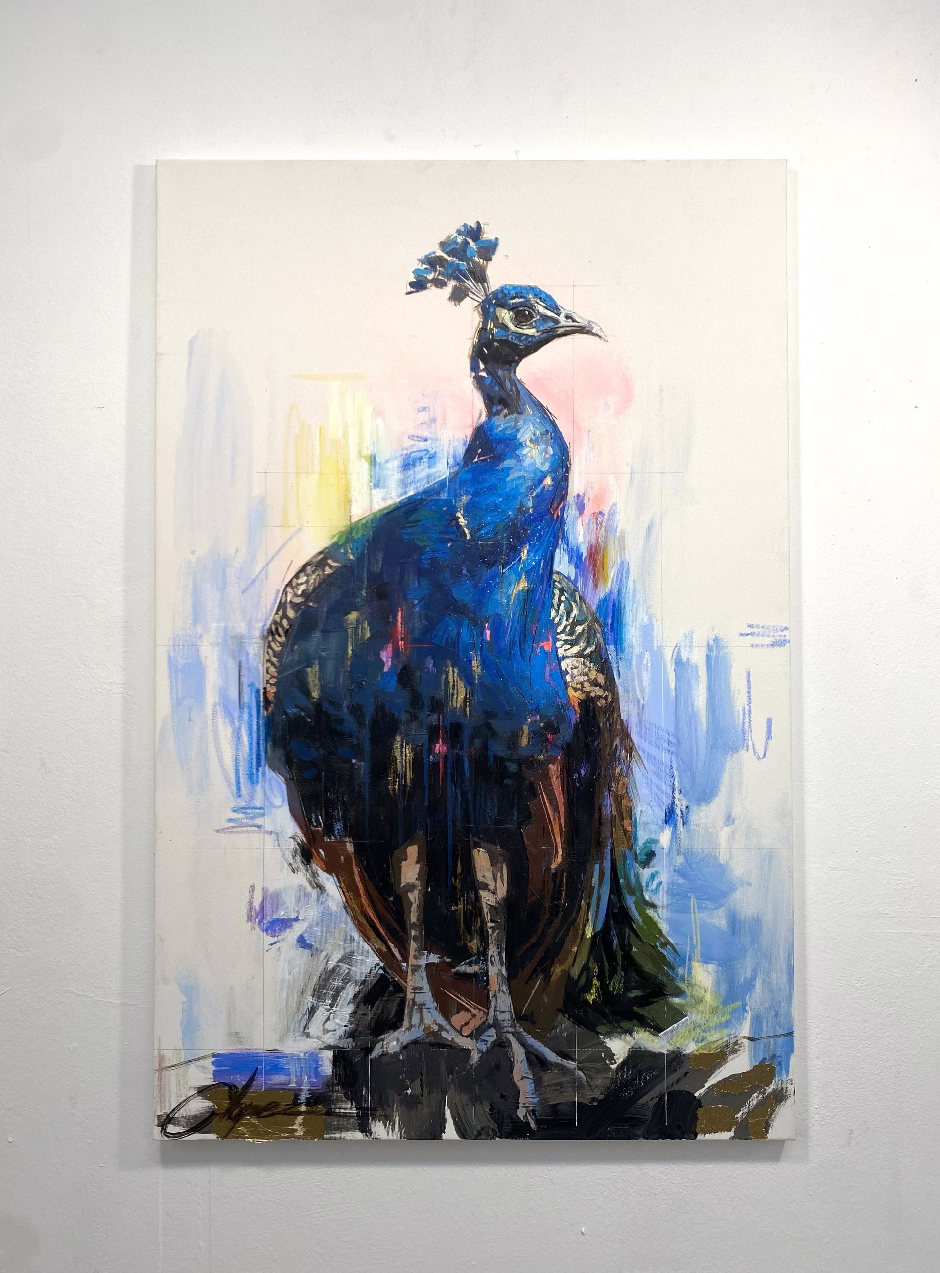 Peacock by Conrado López