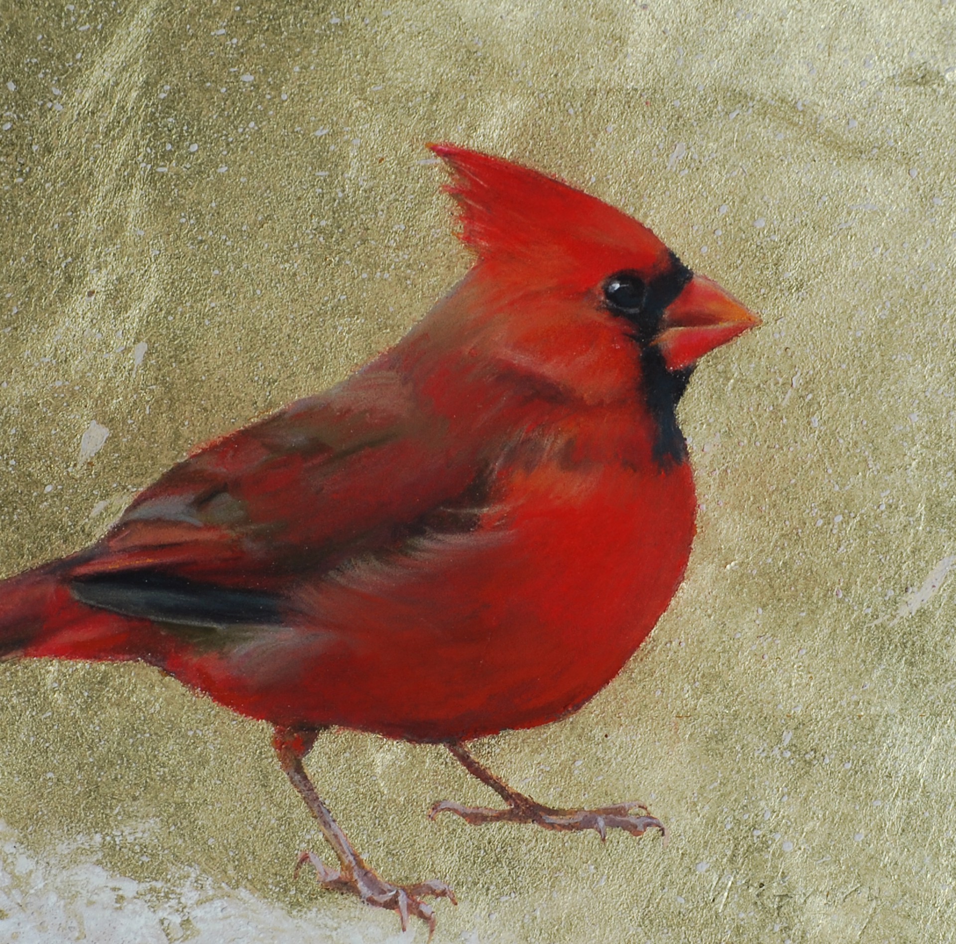 Winter Cardinal (male) by Anne McGrory