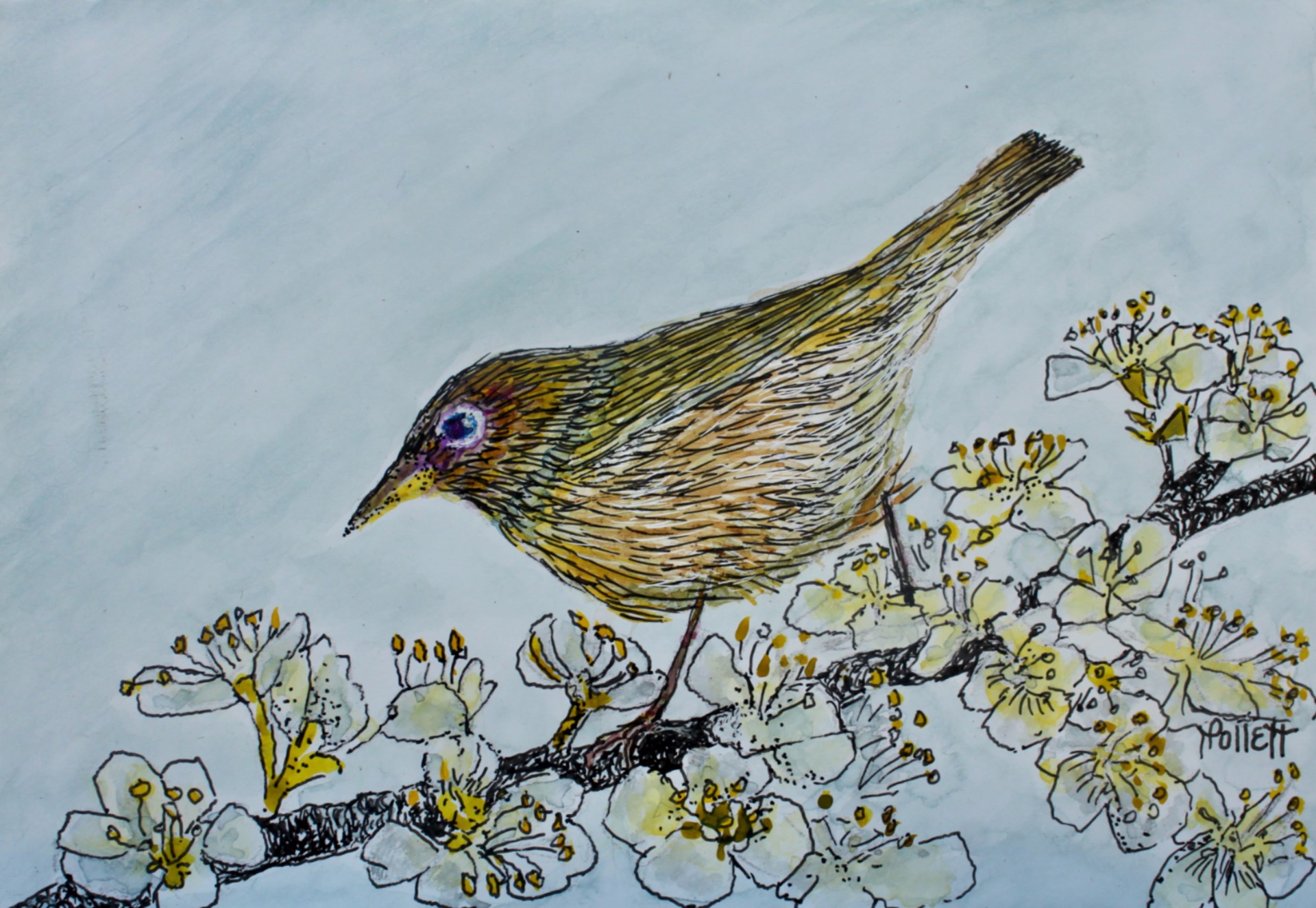 Spring Sparrow by Cynthia Jewell Pollett