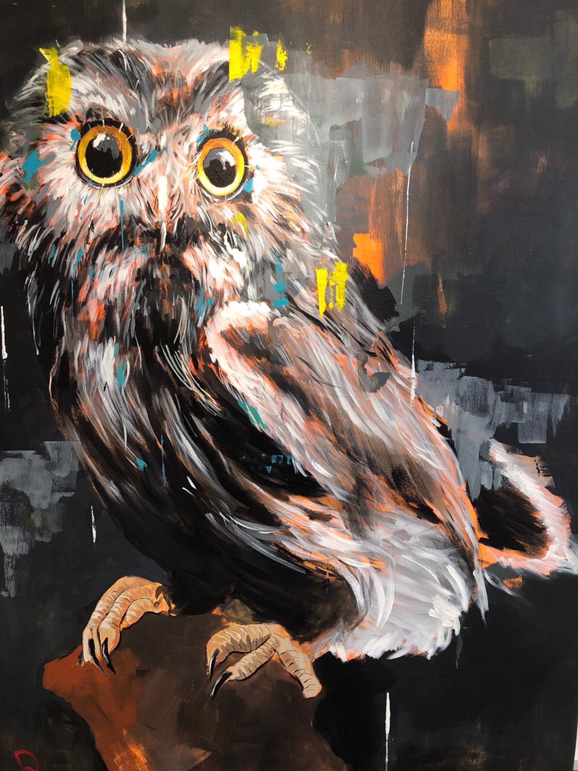 Night Owl by Dominic Mattioli