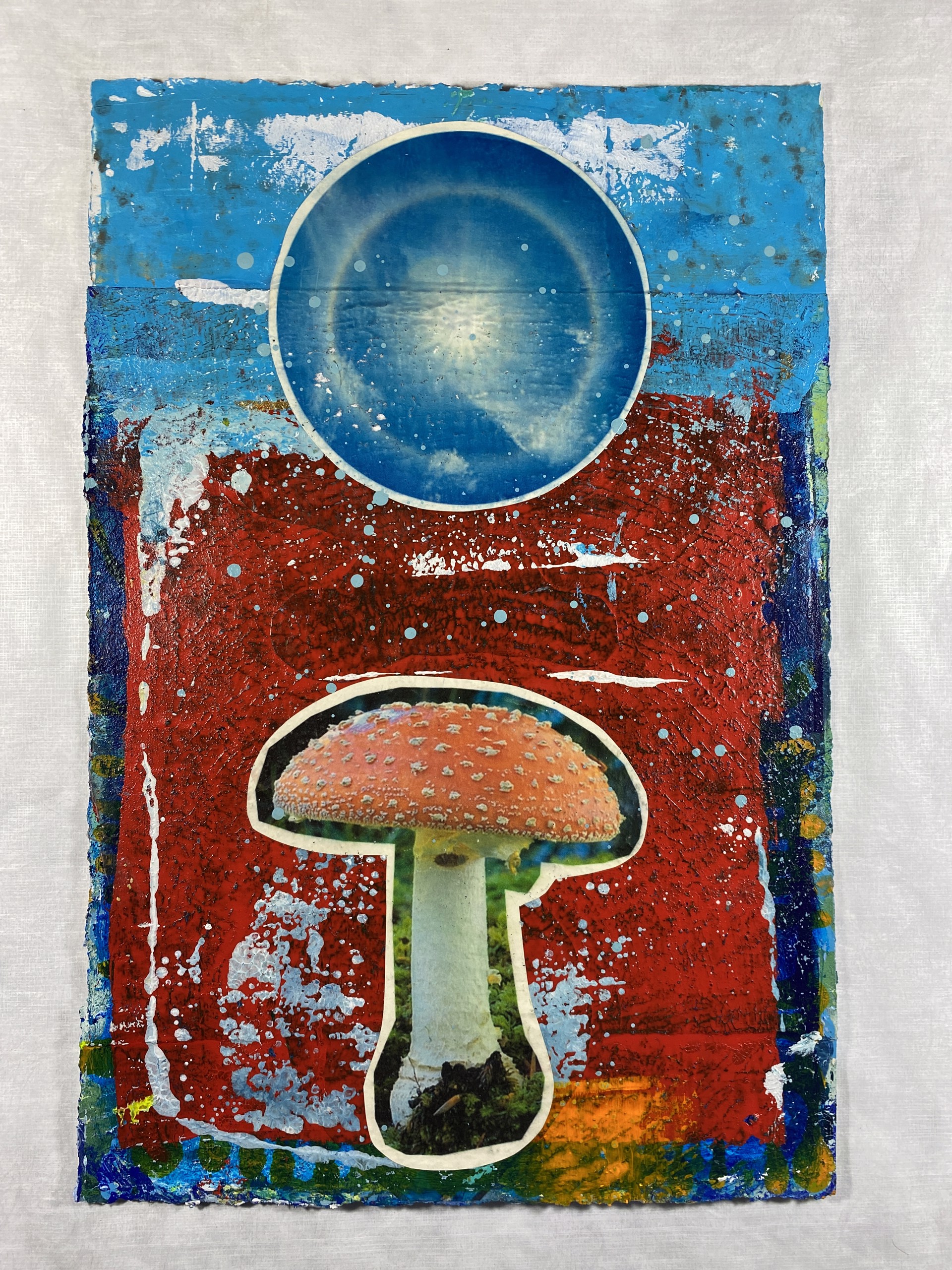 Sun Dog + Amanita Mushroom by Jason Rohlf