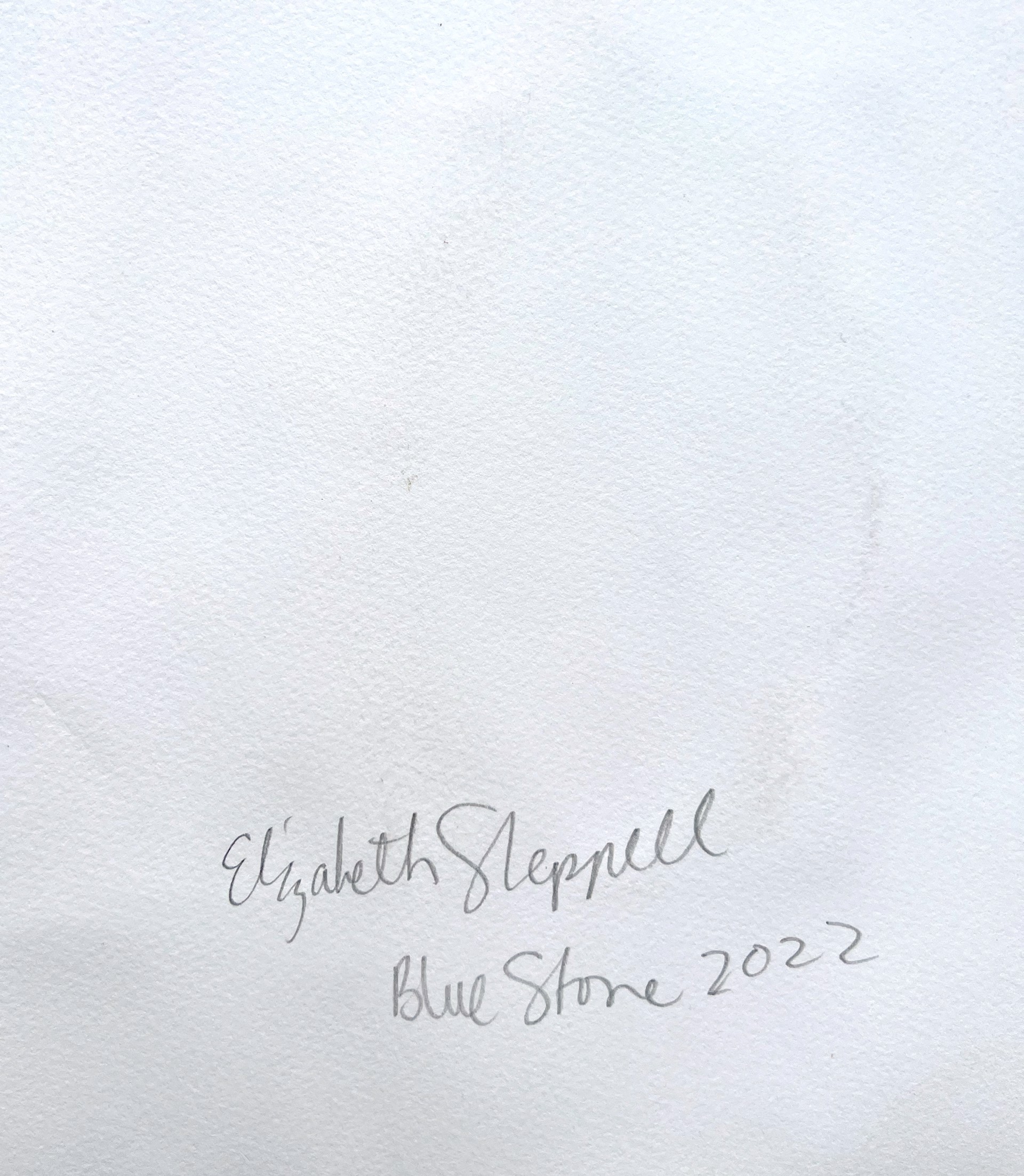 Blue Stone by Elizabeth Sheppell
