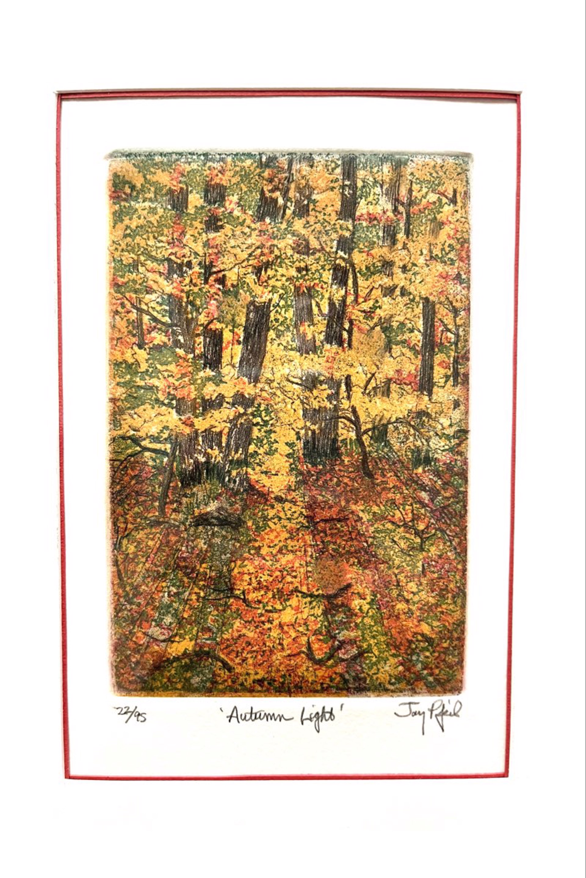 Autumn Light (22/95) by Jay Pfeil