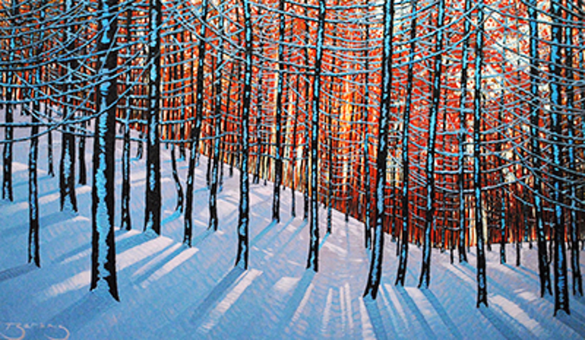 Winter Cedars 176555 by Mark Berens