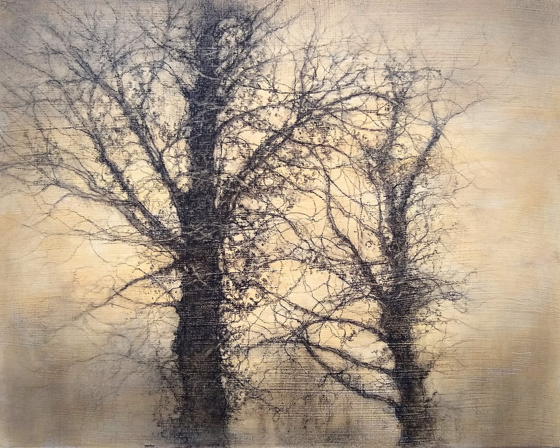 Winter Trees by Sue Bryan