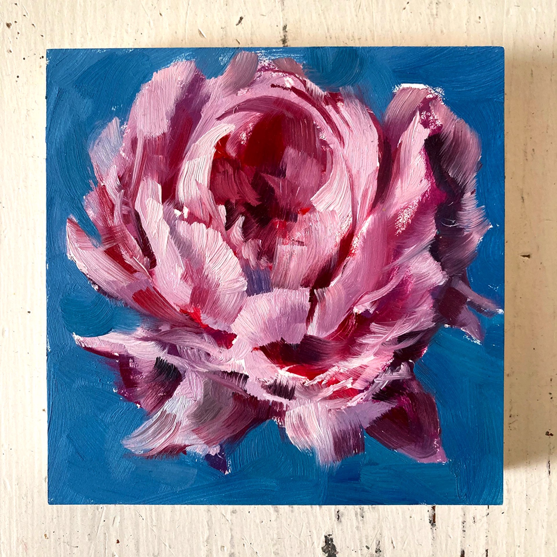 Peony Project #1 by Amy R. Peterson*