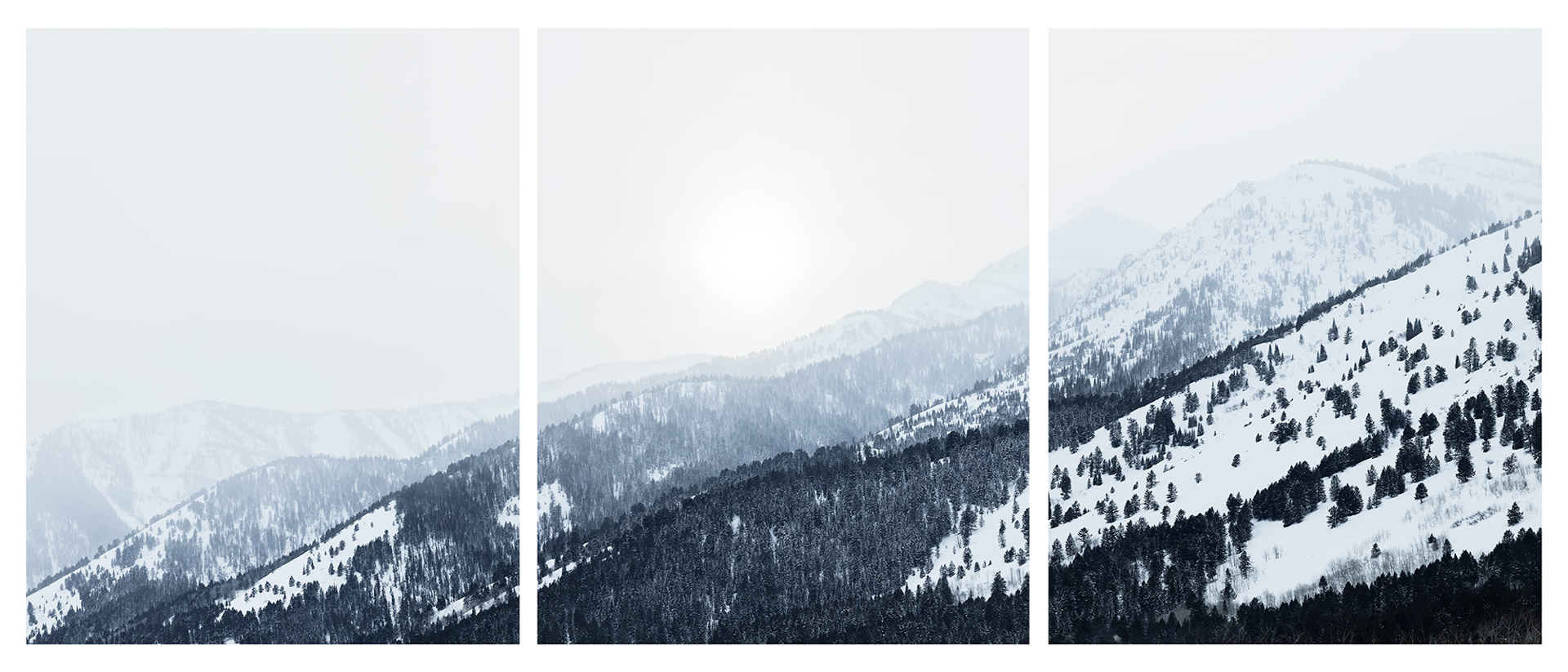 Untitled #3, Jackson Hole, Triptych by Jonathan Smith