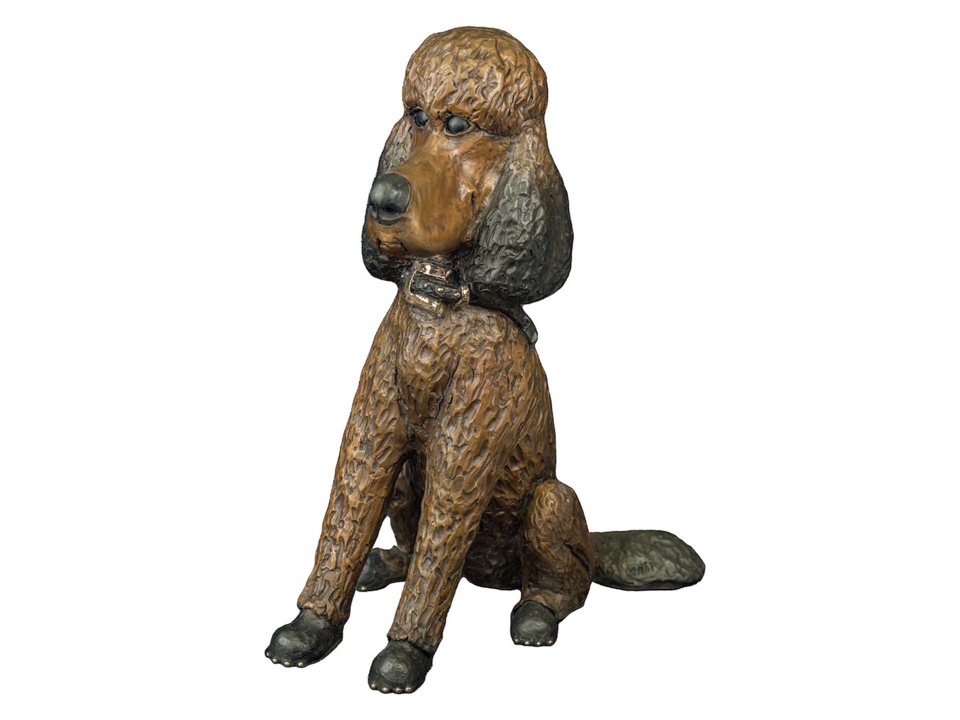 Teddy by Marty Goldstein
