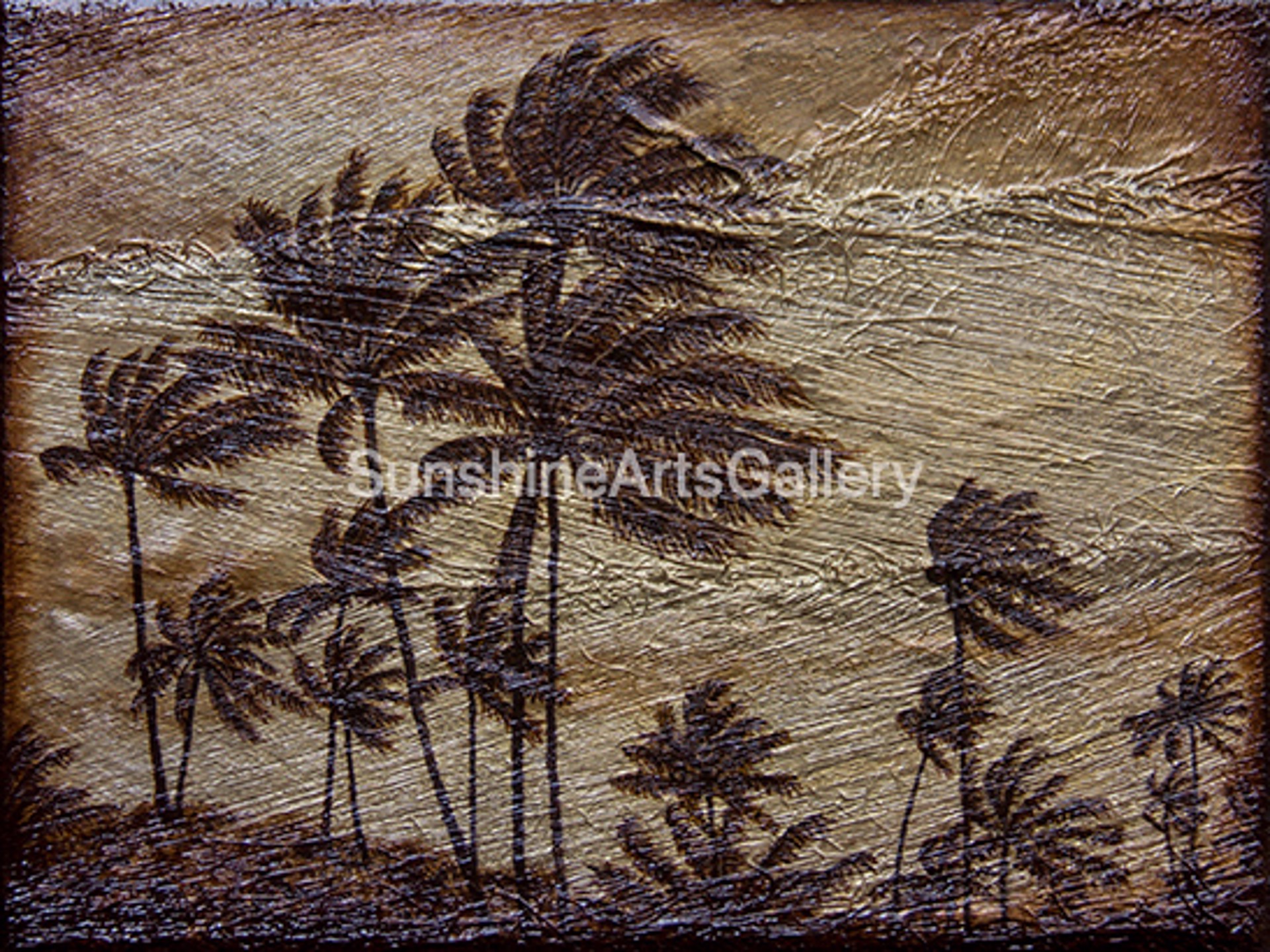 Windy Kailua Palms by Pati O'Neal