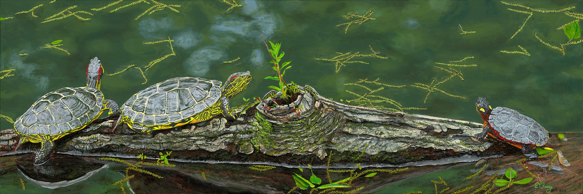 Terrapin Log by Barry Levin