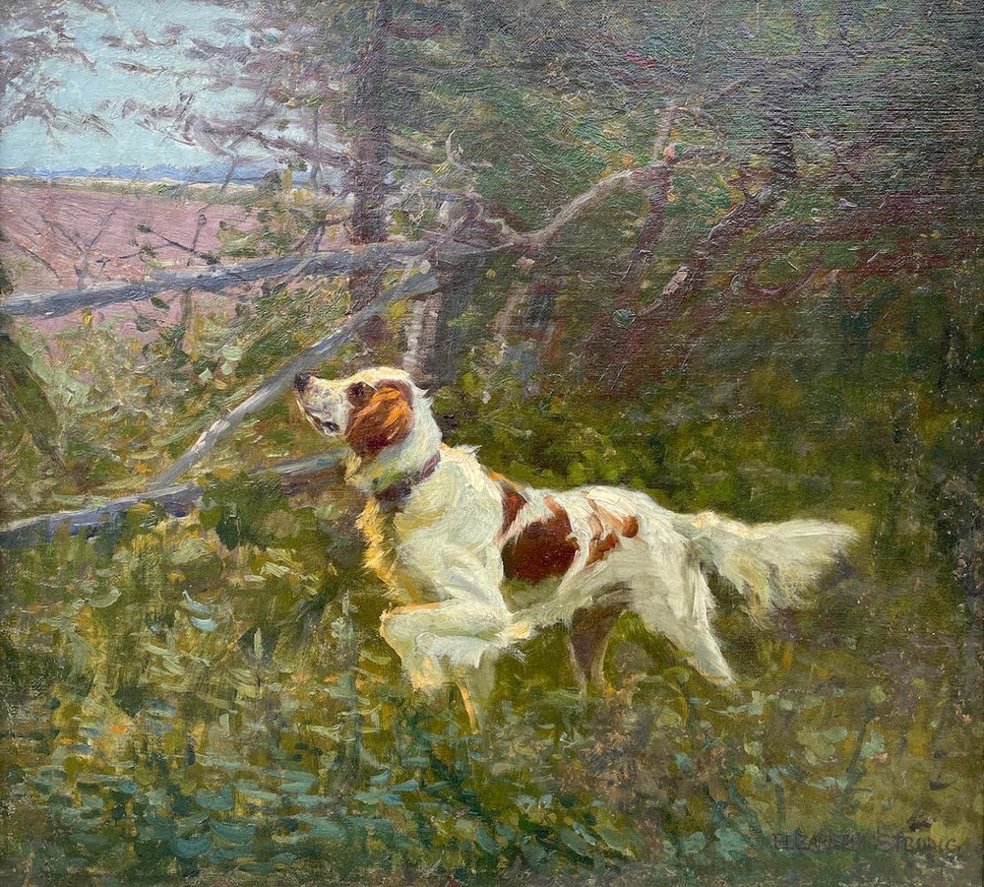 Portrait of Springer Spaniel, circa late 1800s by Elizabeth Strong
