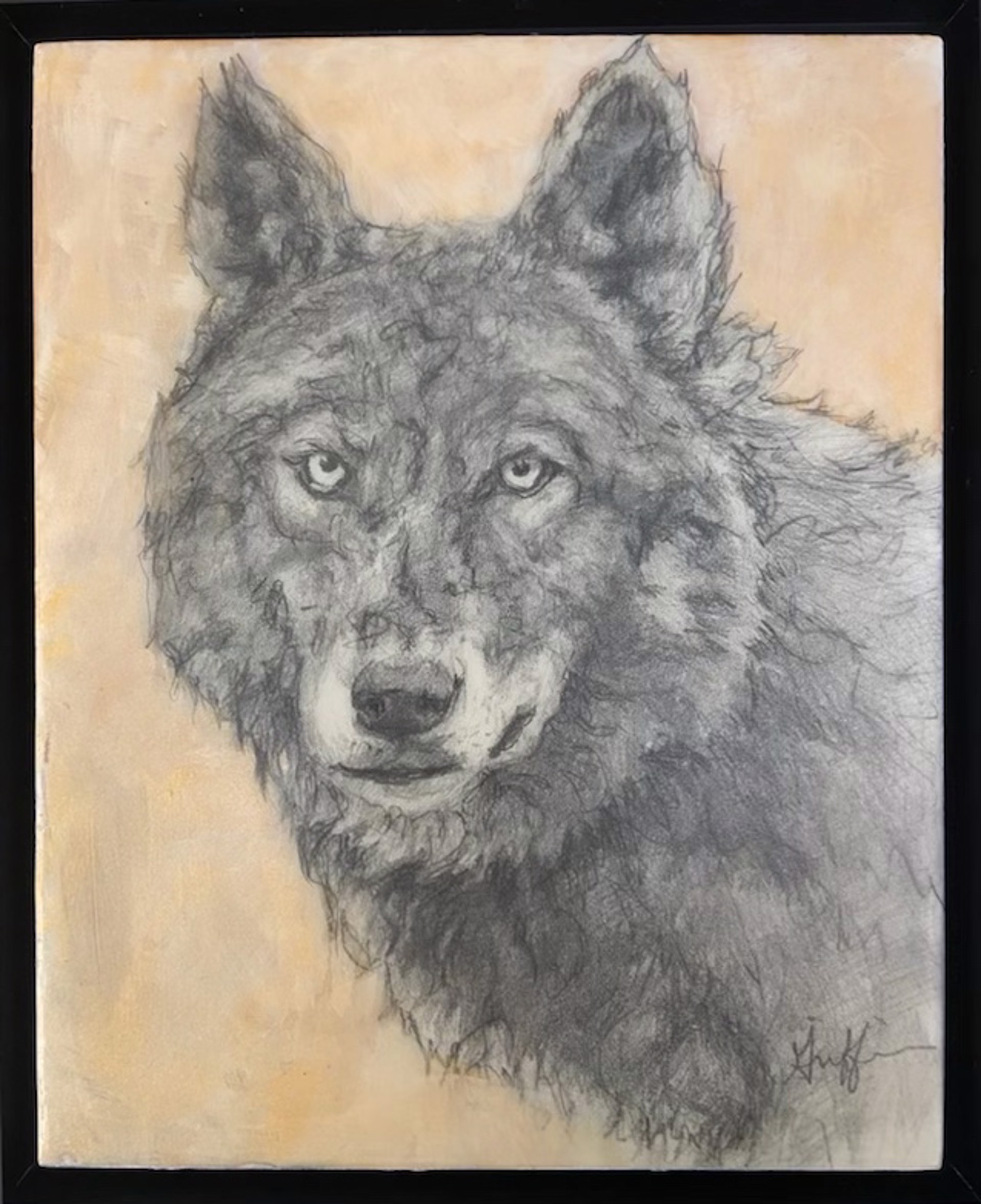 Wolf Portrait In Graphite By Patricia Griffin