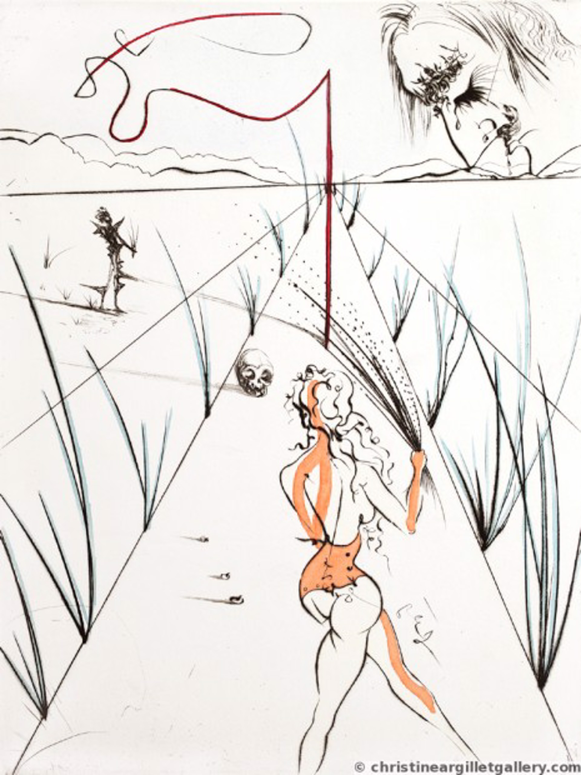 Venus in Furs  "Whips Alley" by Salvador Dali
