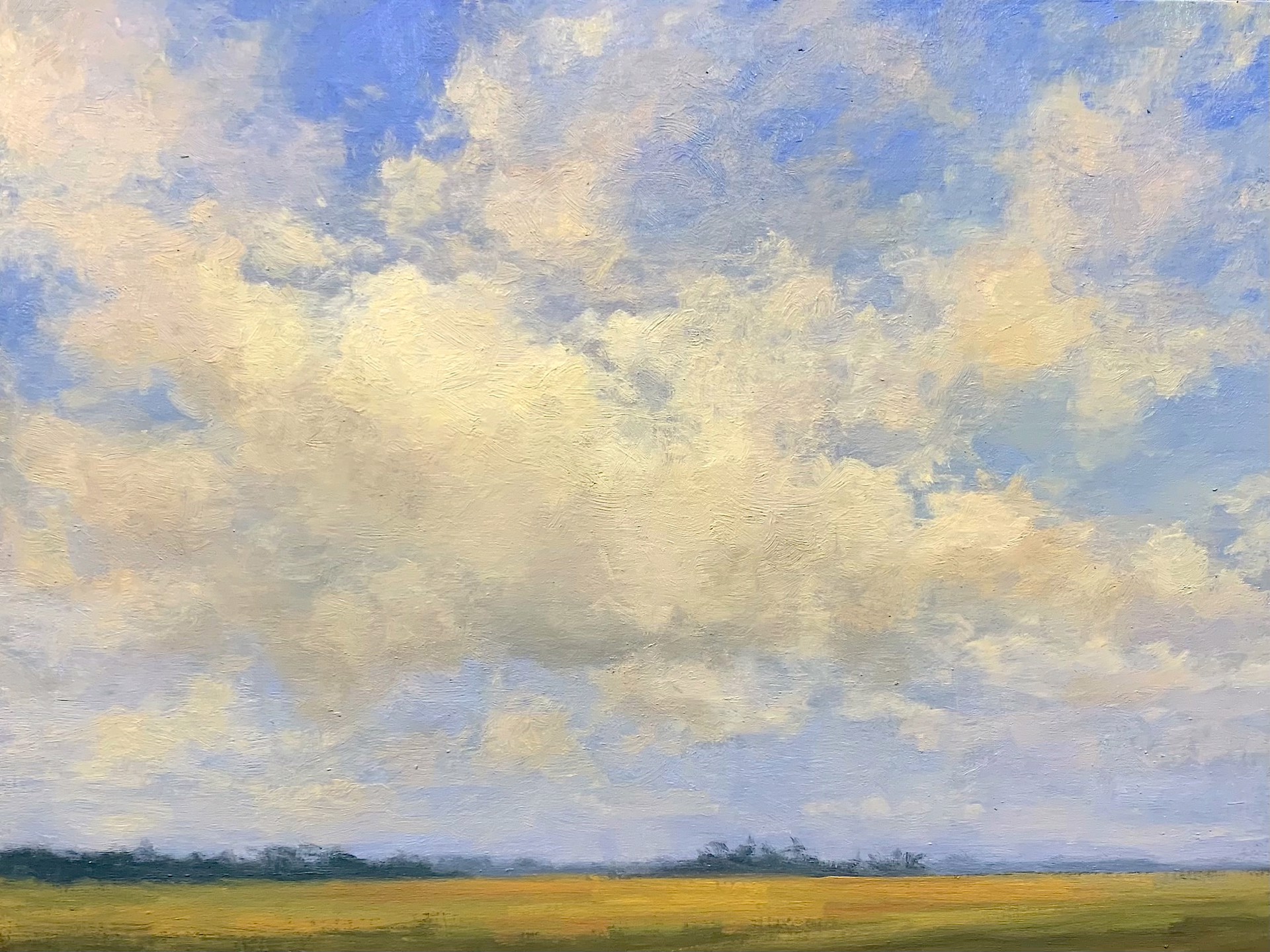 A Sky Filled with Buttercup Clouds by Dottie T. Leatherwood