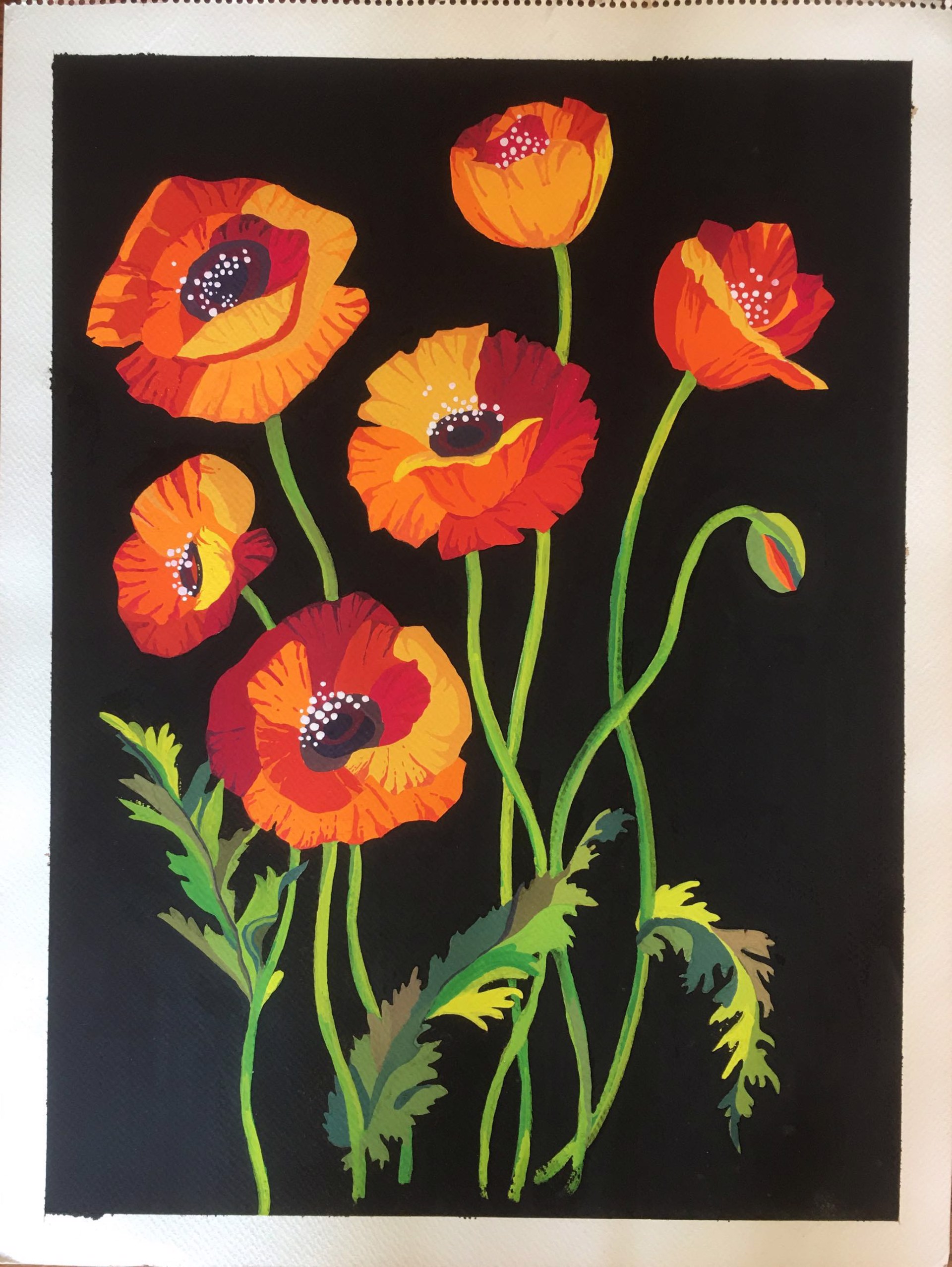 Poppies by Rahat Mama