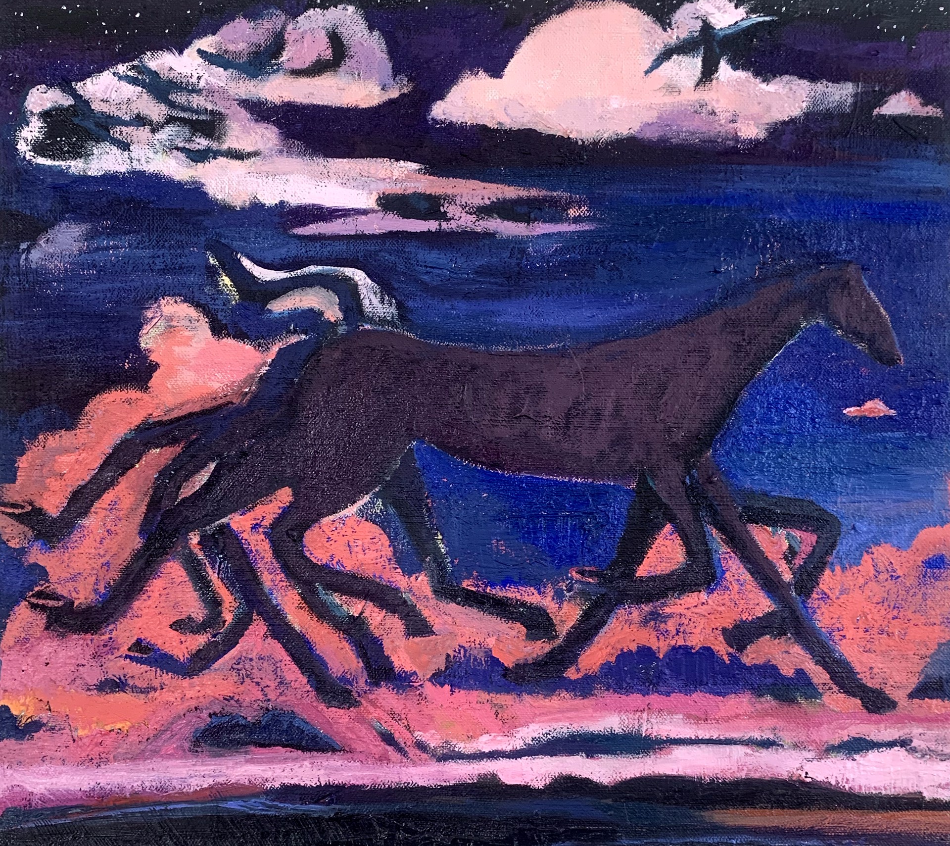 Gallop by Sirena LaBurn