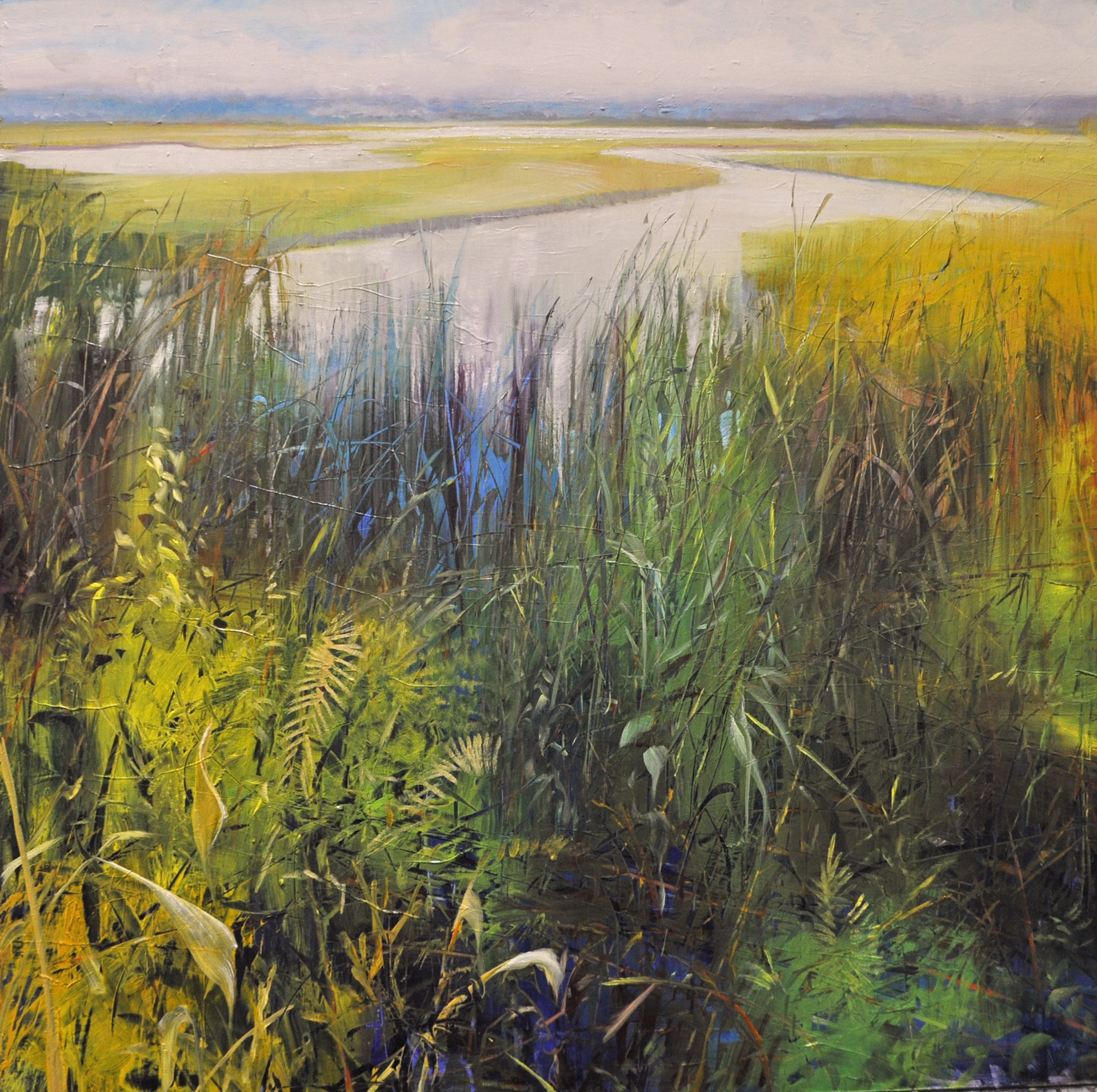 Calico Marsh by David Dunlop