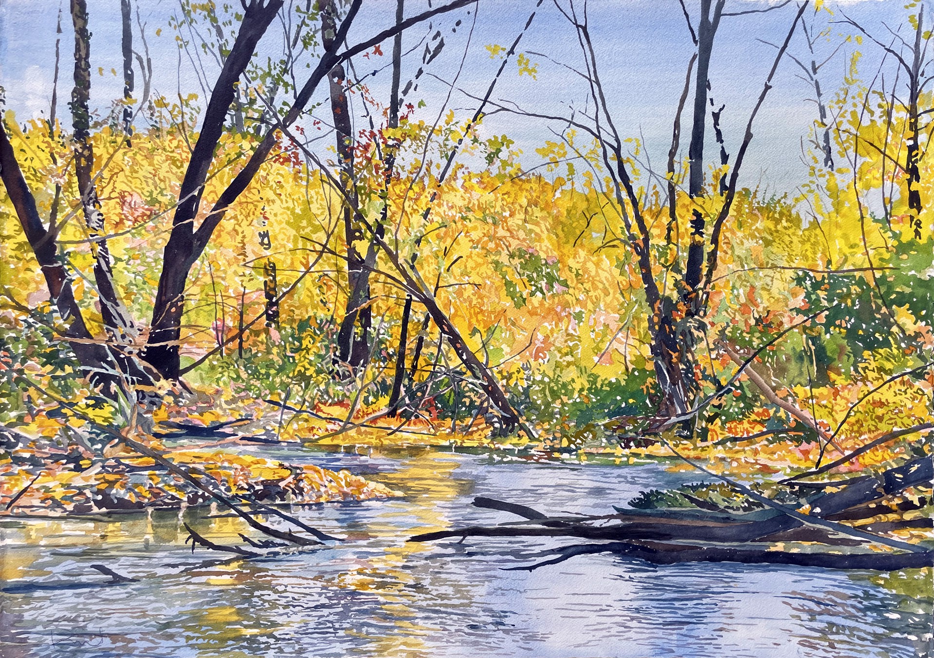 Boise River Fall #2 by Divit Cardoza