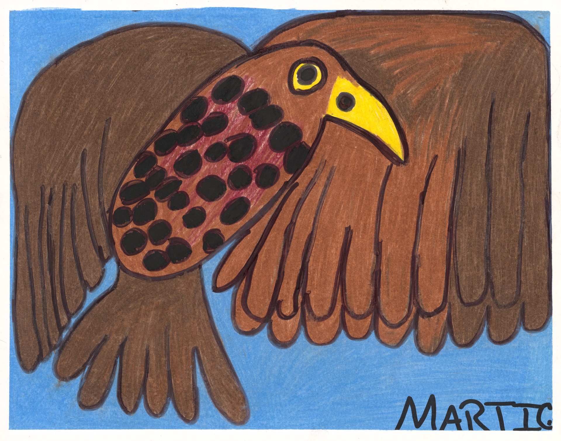 American Southern Hawk by Marti Clark