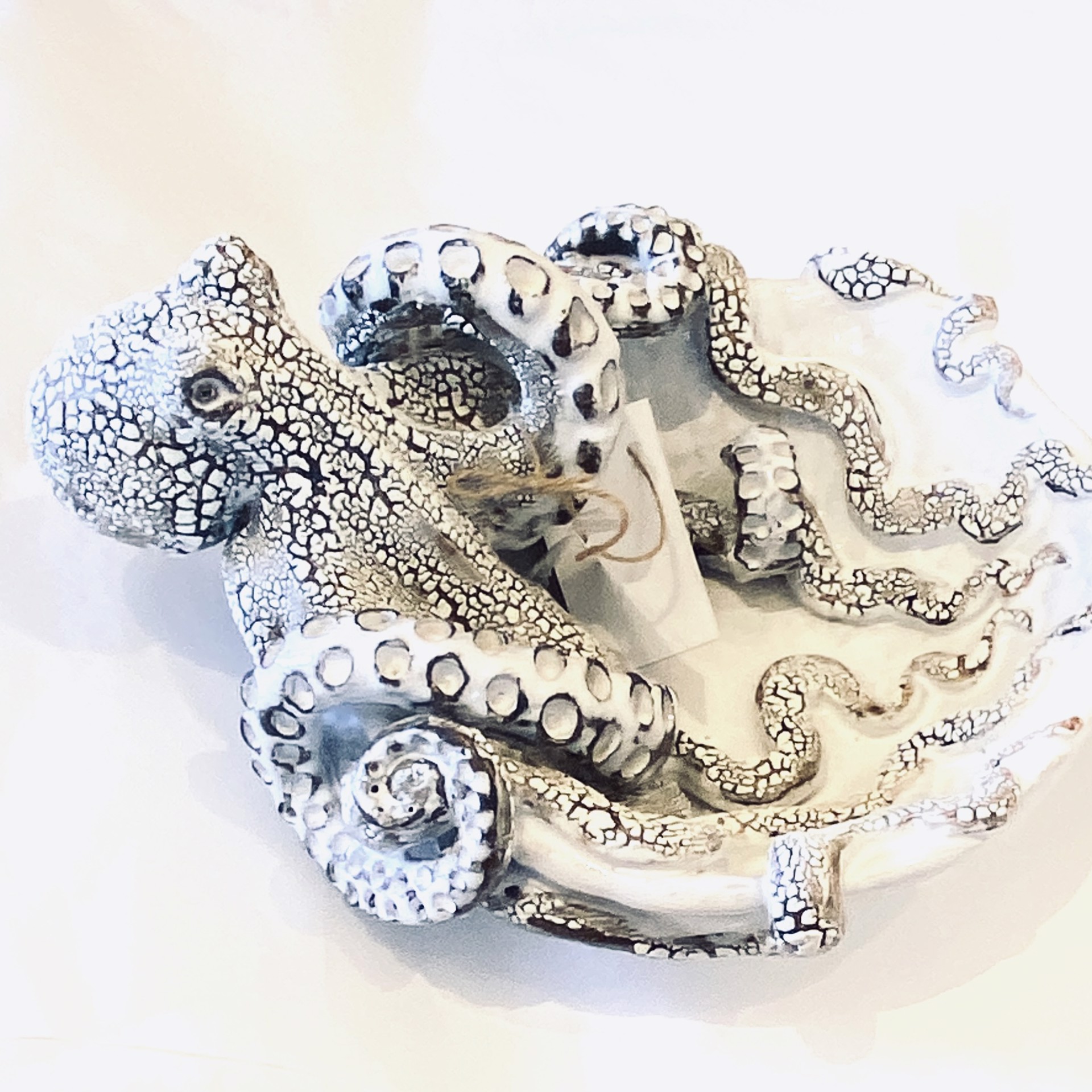 Large Octopus Bowl SG23-49 by Shayne Greco