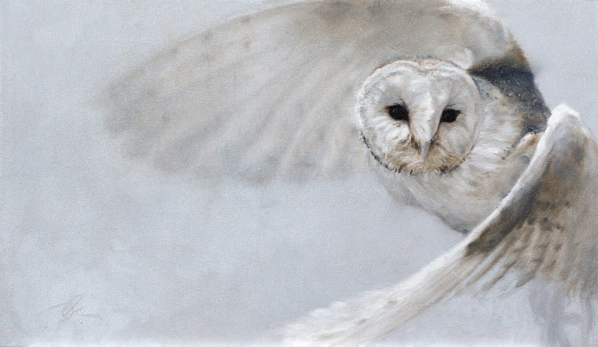 Barn Owl Flying Through A Winter Landscape