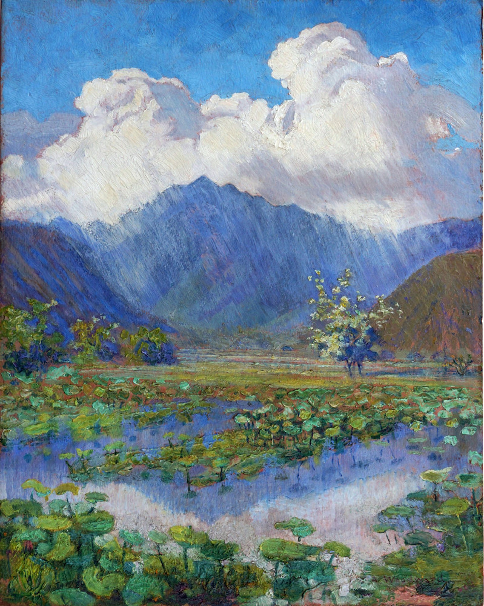 A Shower in the Mountains, Manoa Valley by Anna Woodward