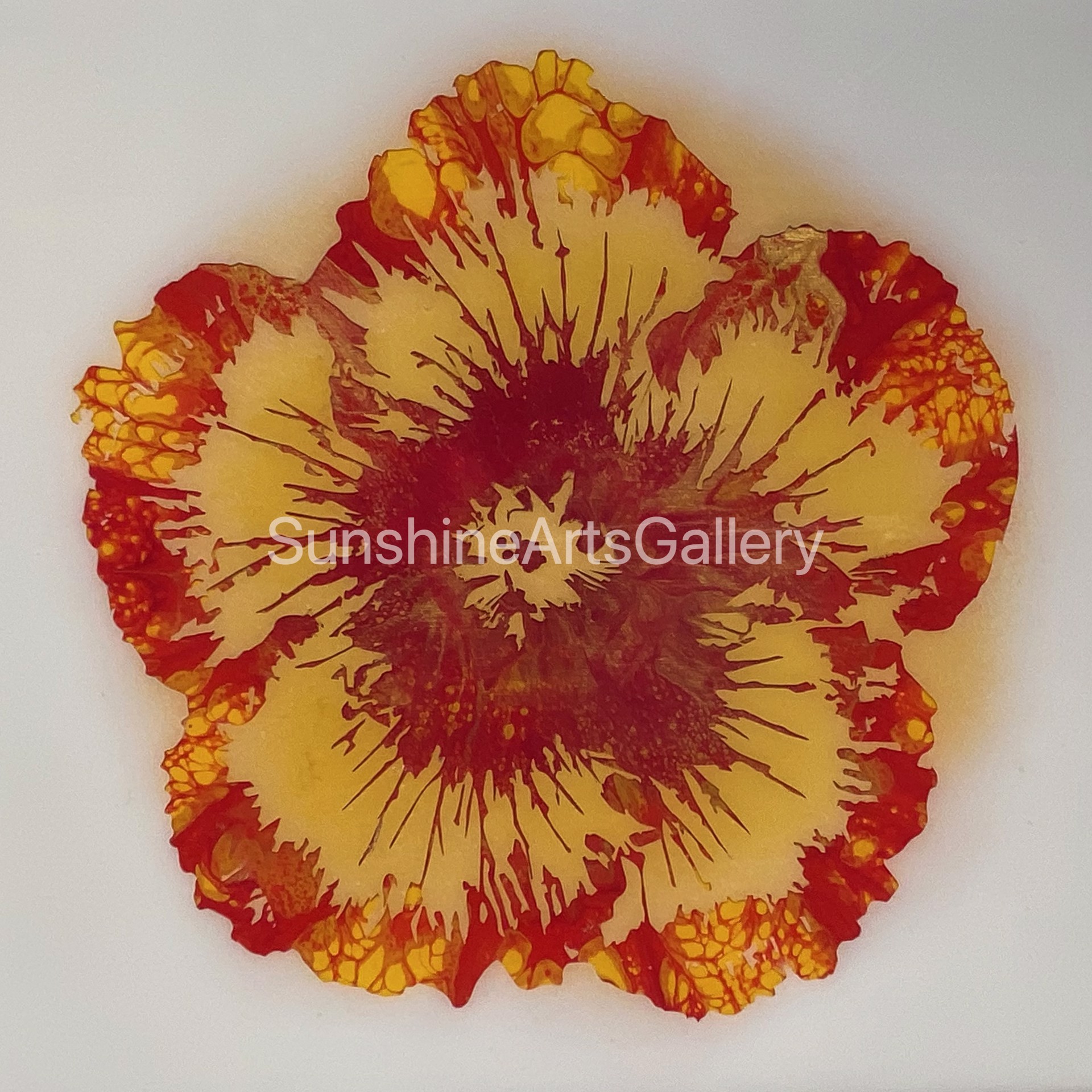 Yellow Red and Gold Hibiscus by Pati O'Neal