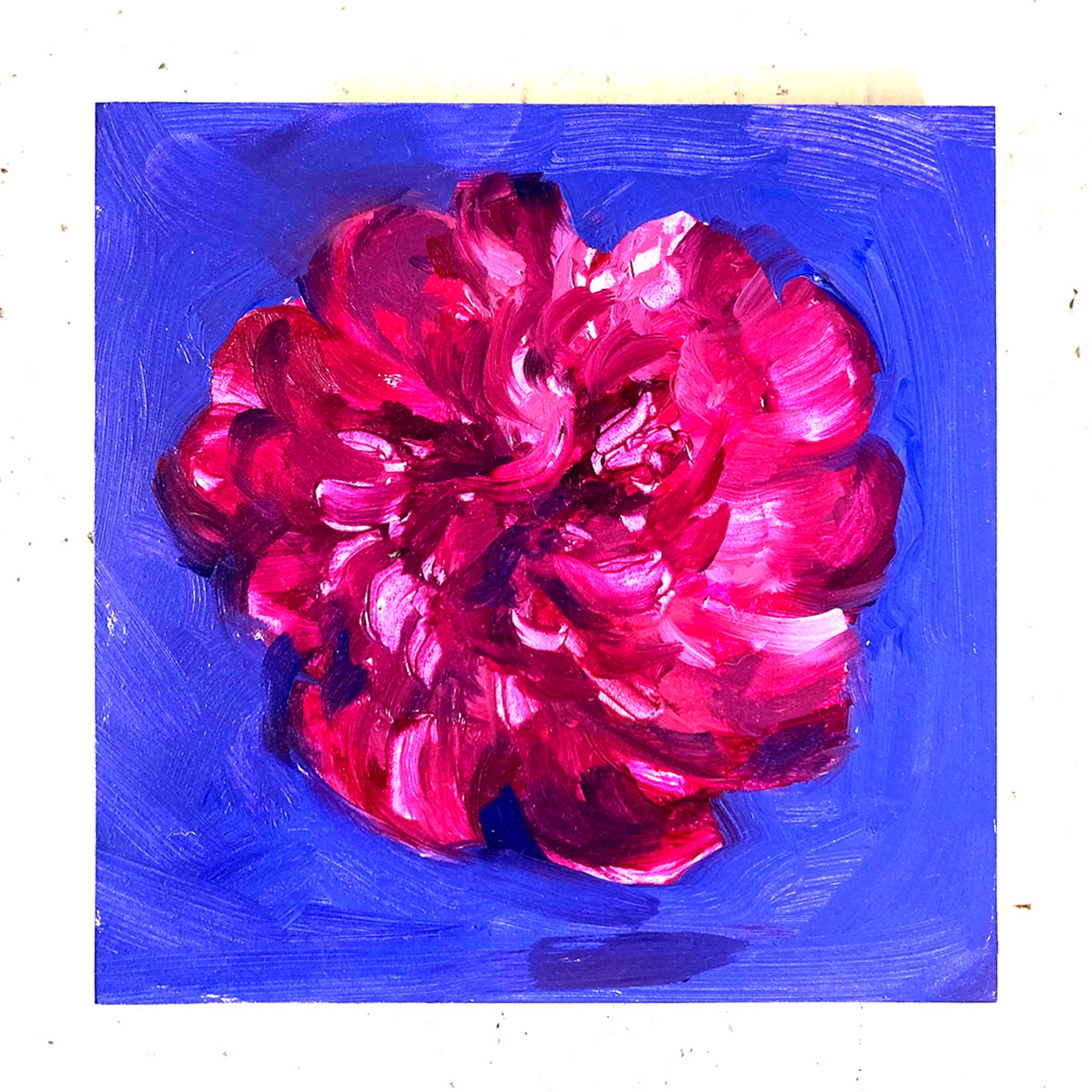 Peony Project #19 by Amy R. Peterson*