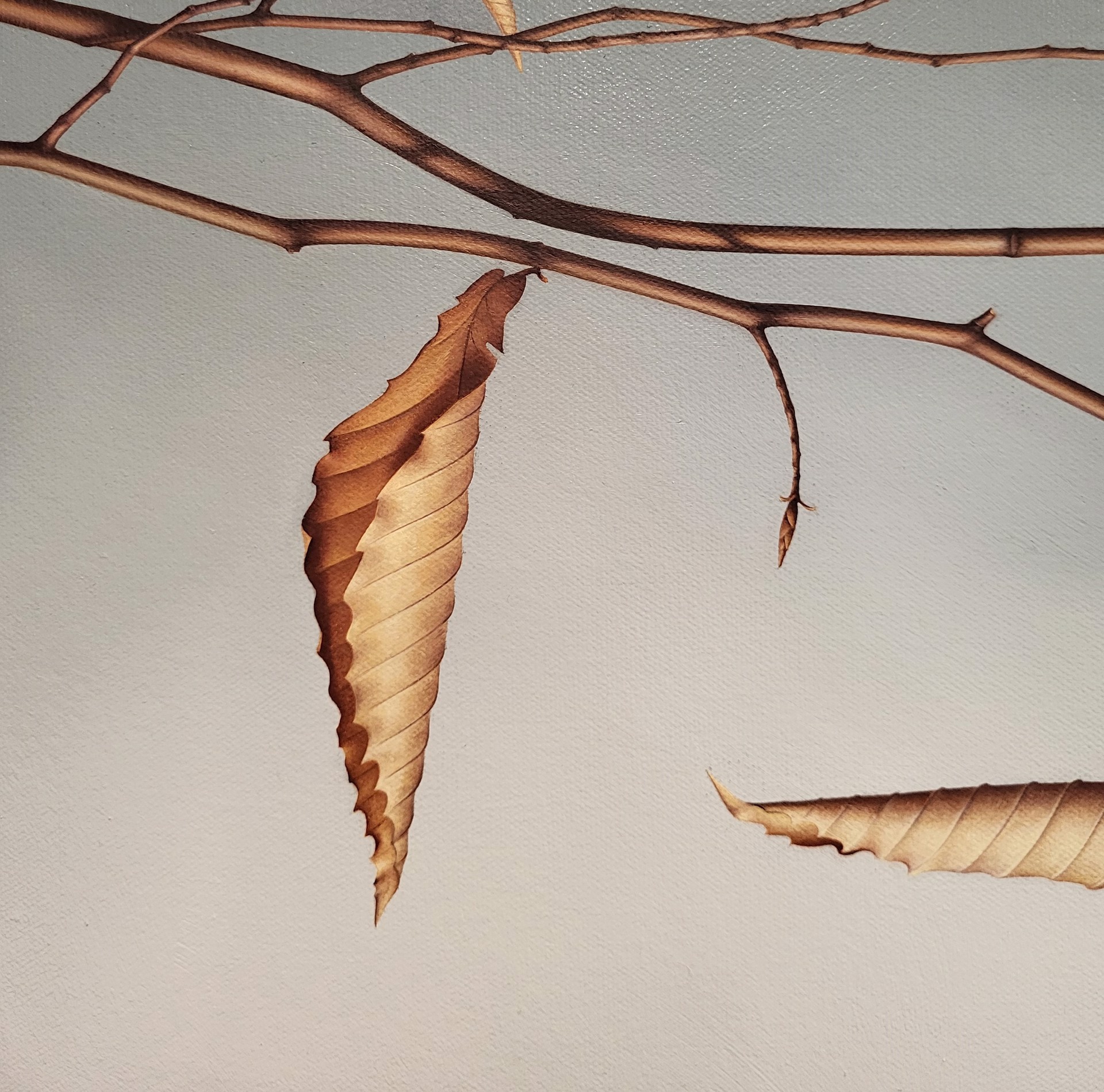 BEECH LEAVES 10 by WHITNEY RIVER