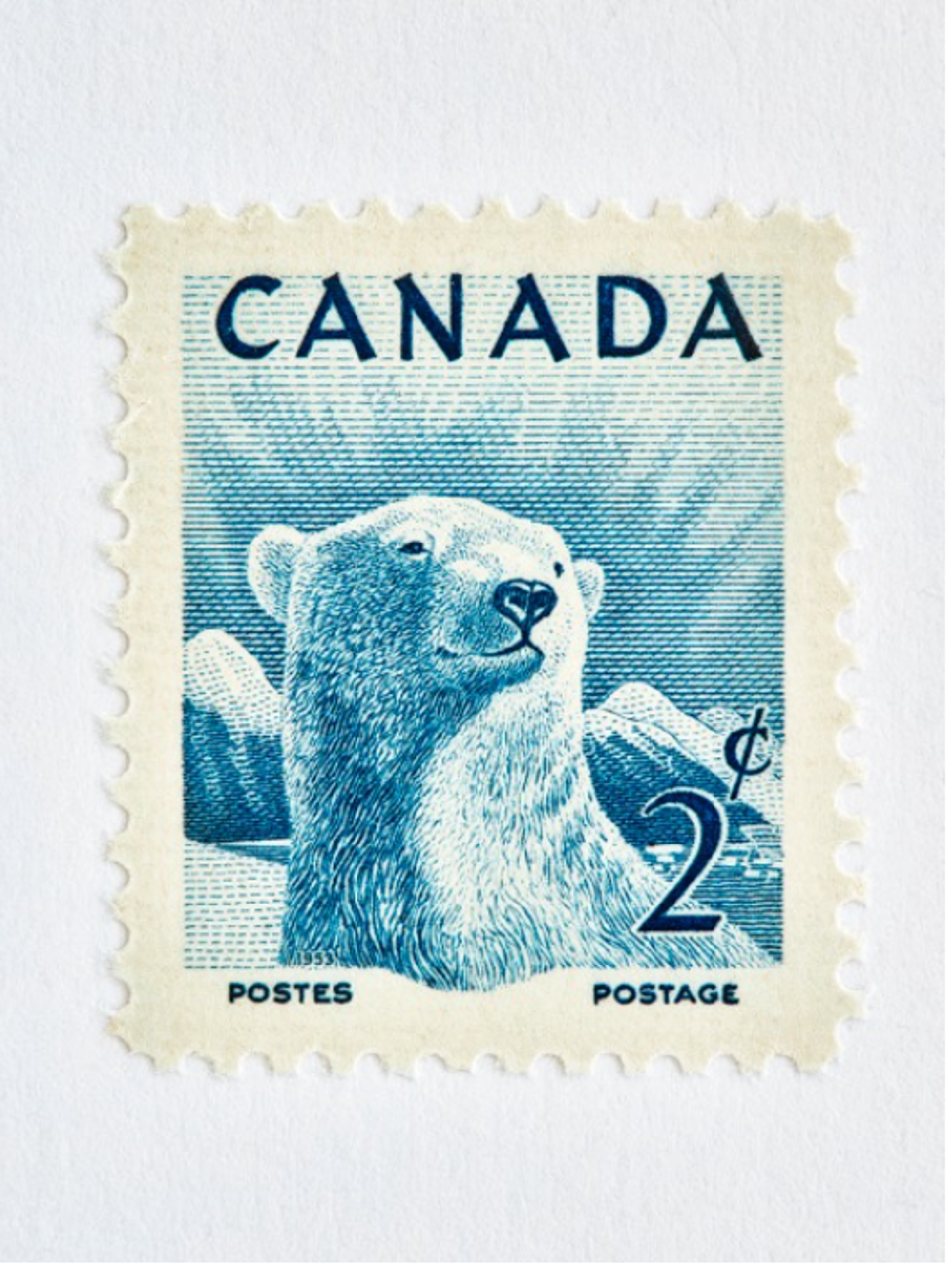 Wildlife Week Stamp (Polar Bear) by Peter Andrew Lusztyk | Collectibles