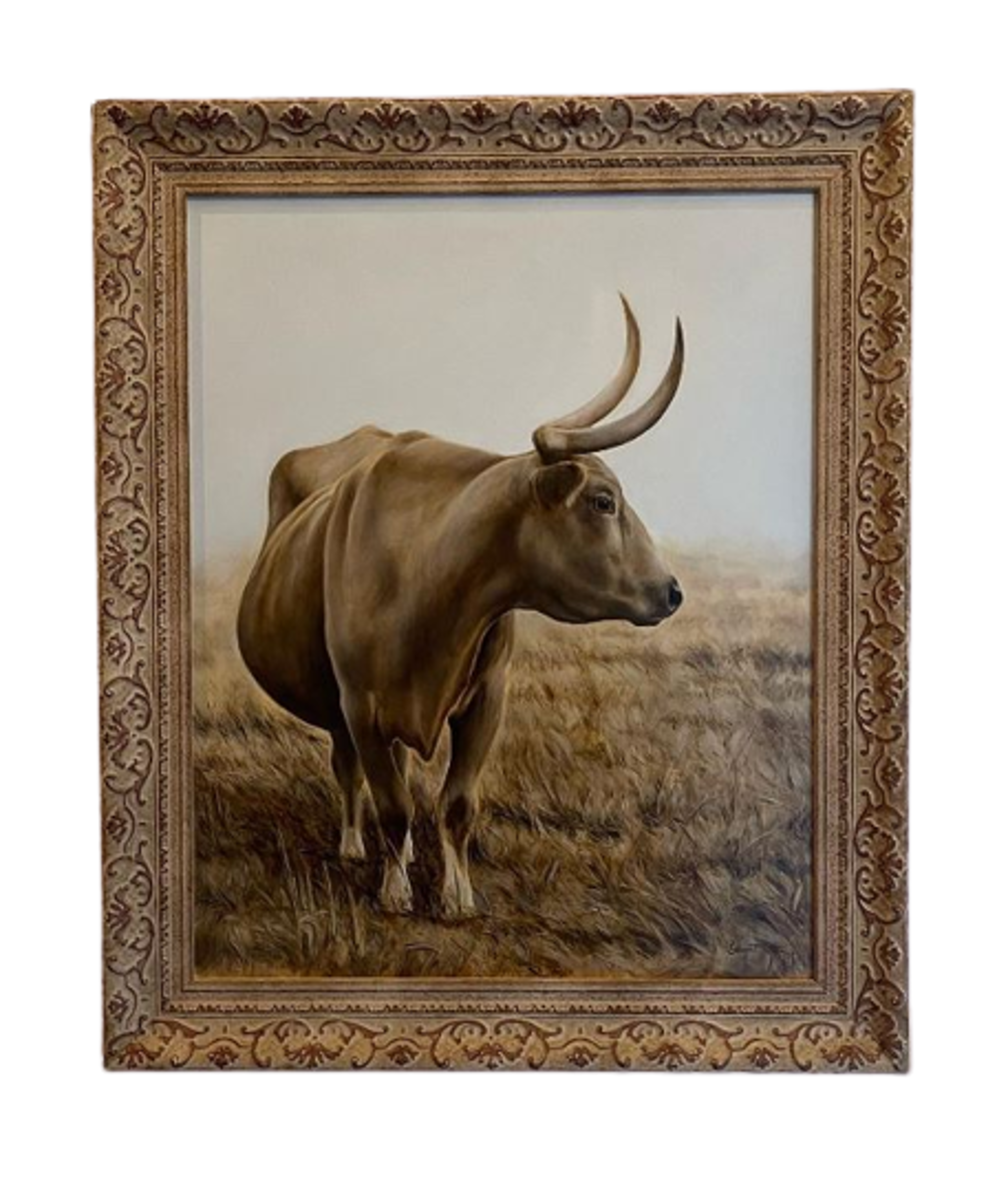 Longhorn by Todd Bergert