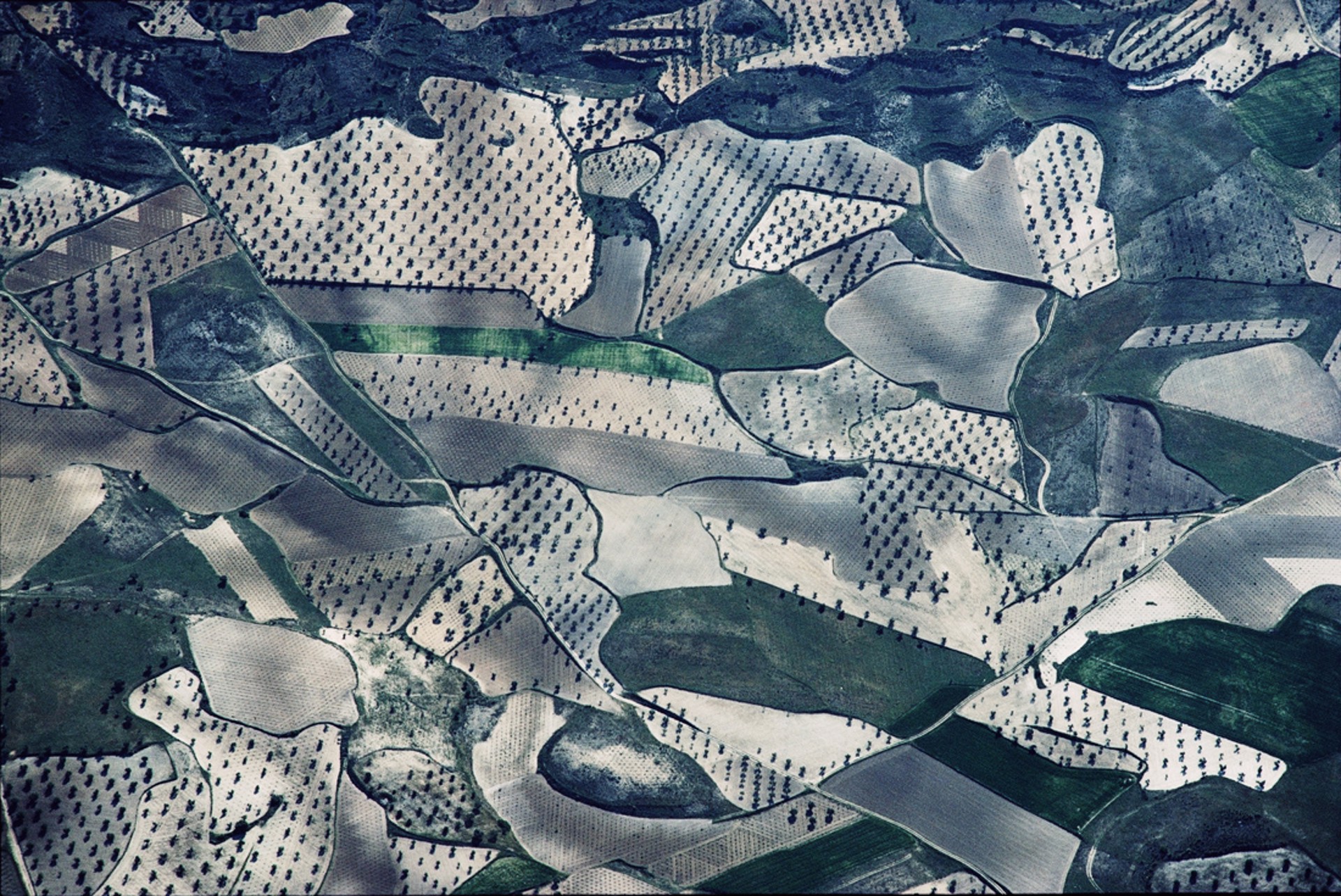 Gray and Green Patchwork, La Mancha, Spain by John Griebsch