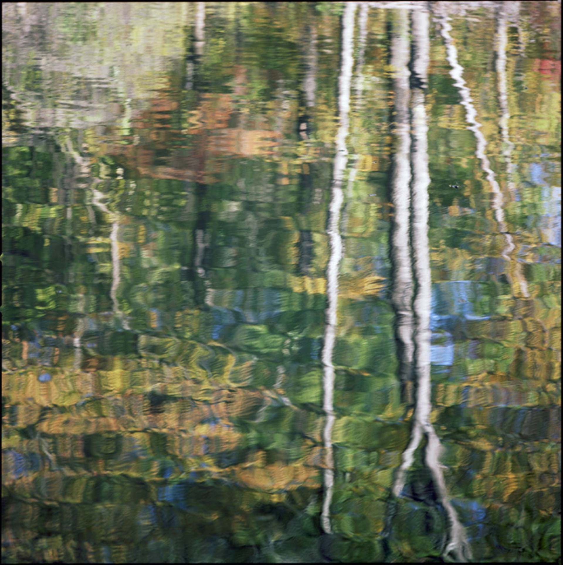 Sweetwater Creek Reflection by Kathryn Kolb