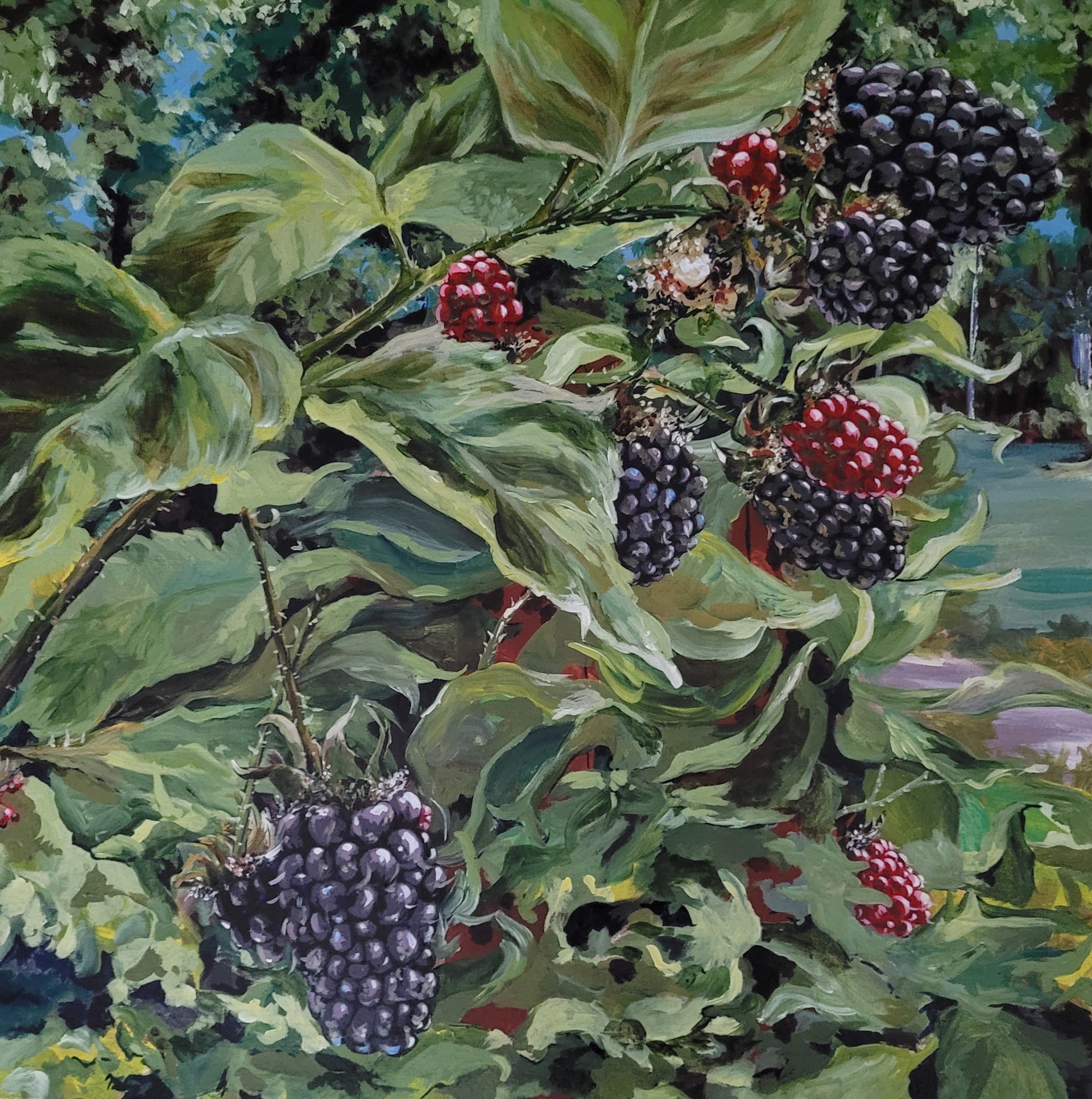 Blackberry Harvest by Amy Slater