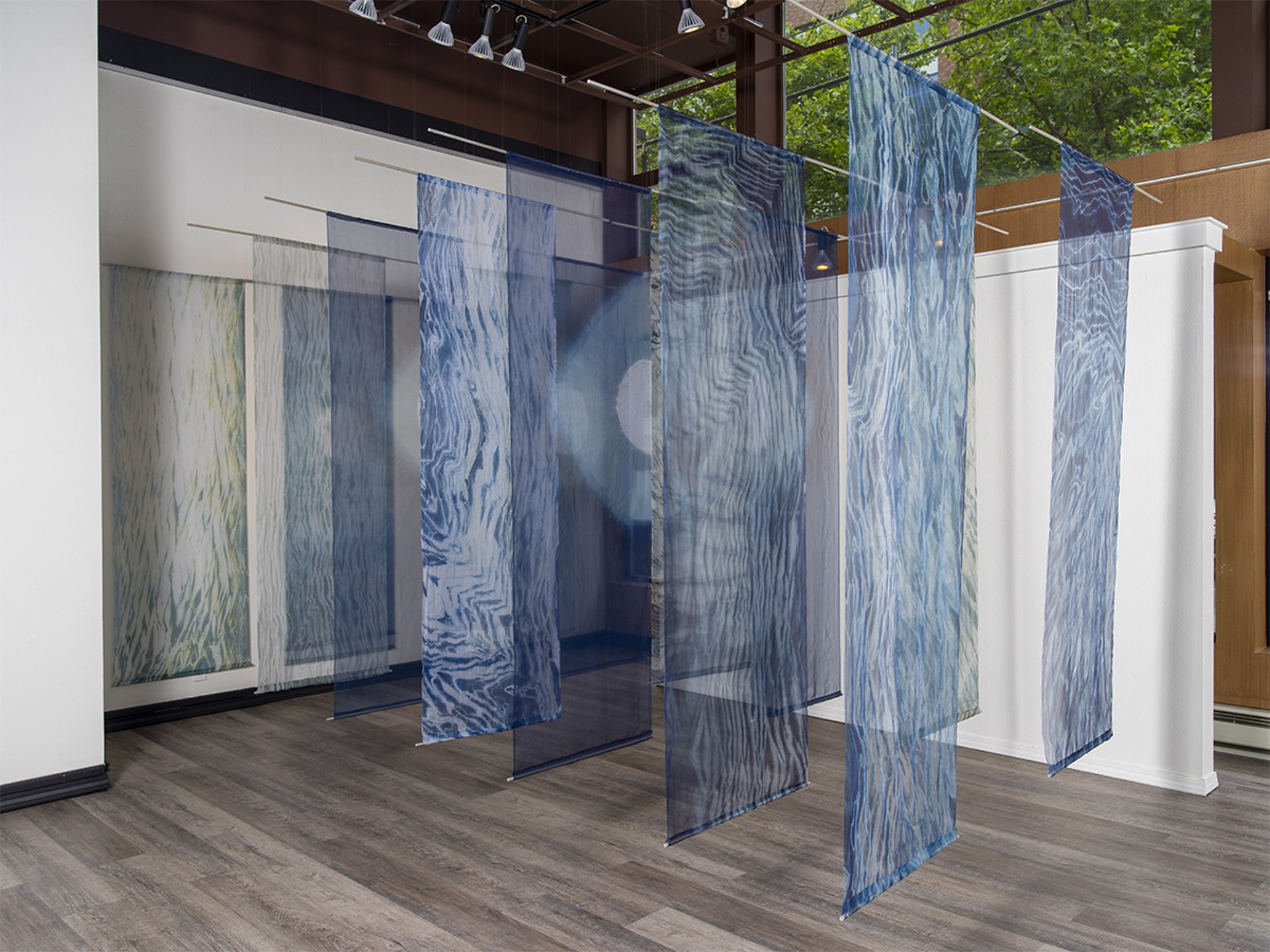 Caryn Friedlander | When Water Becomes Light | ArtX Contemporary