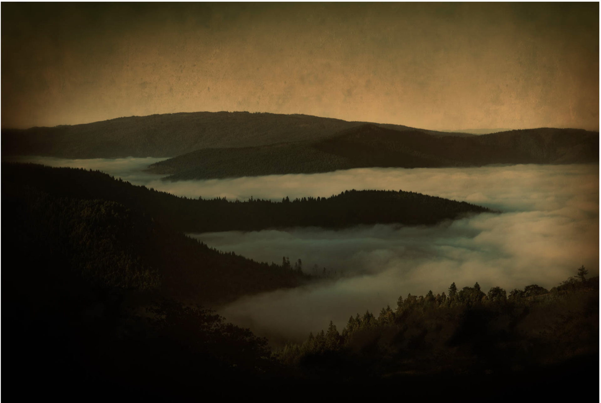Above the Fog by Jack Spencer