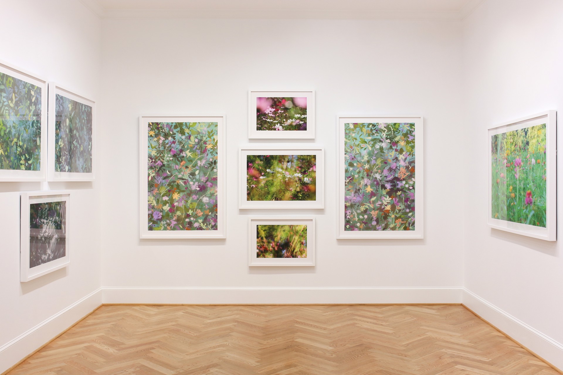 Anniversary Wildflowers by Thad Lee