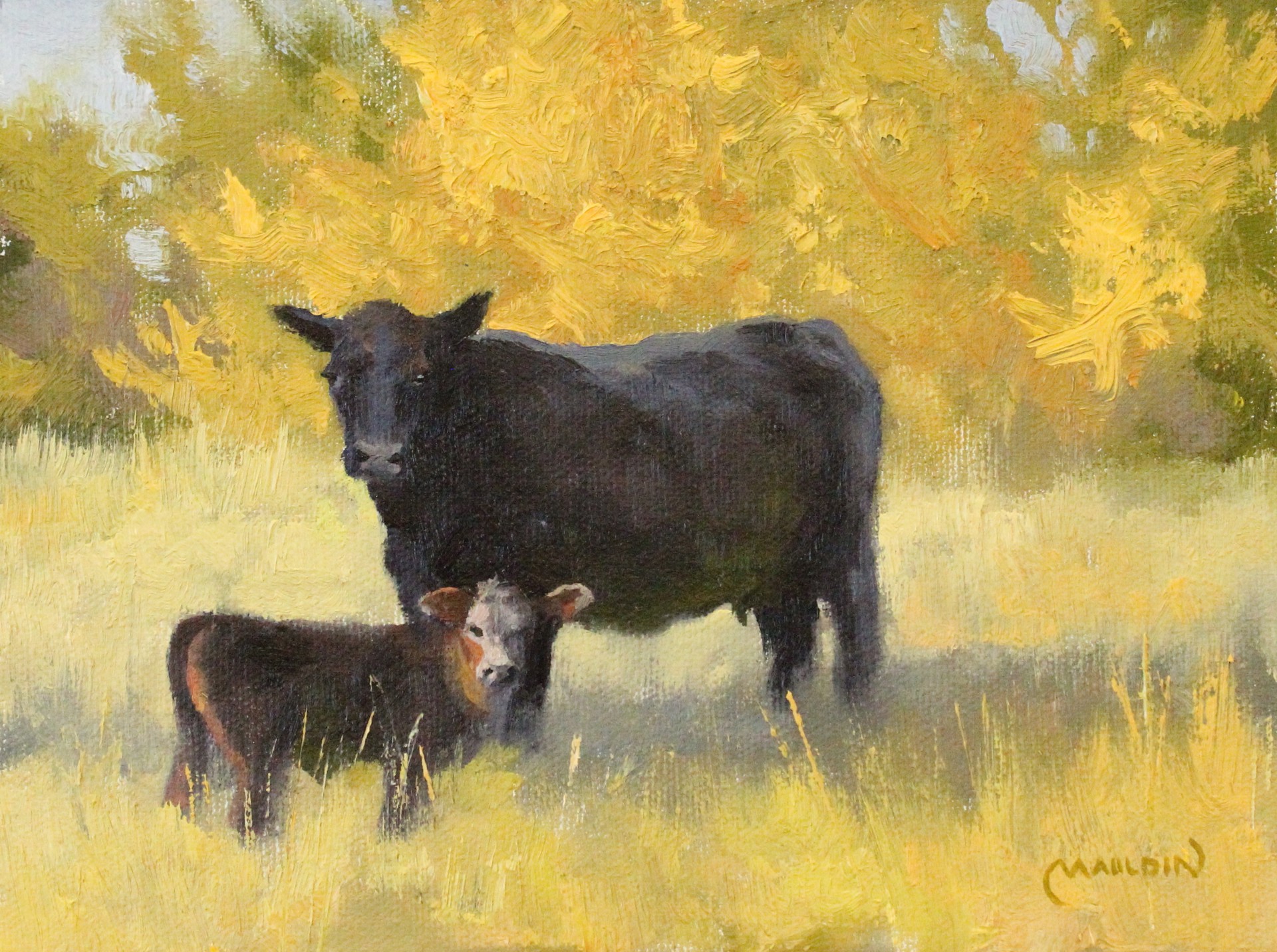 Angus Mom and Calf by Chuck Mauldin