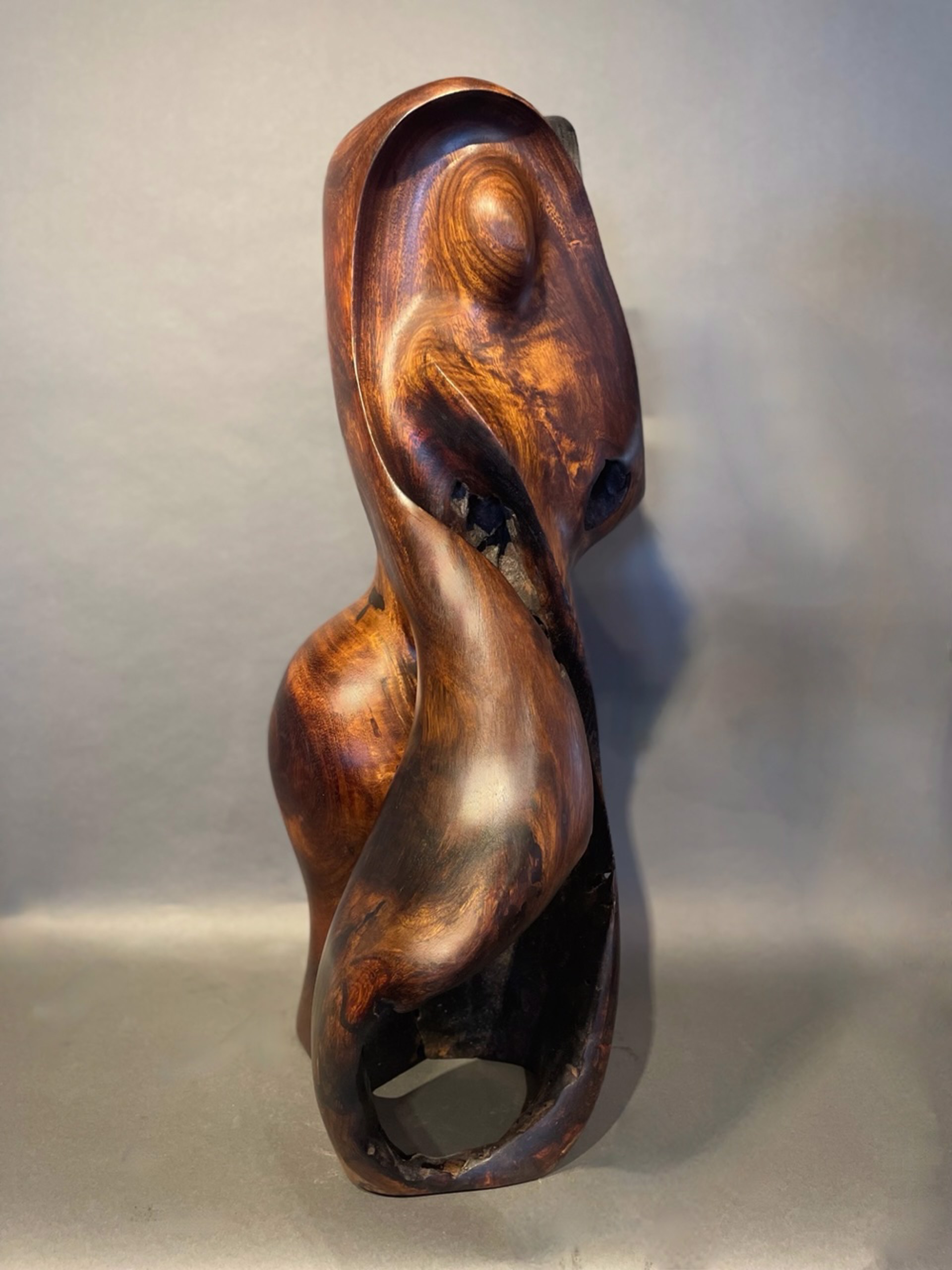 Beauty Within (Ohai Wood) by Steve Turnbull