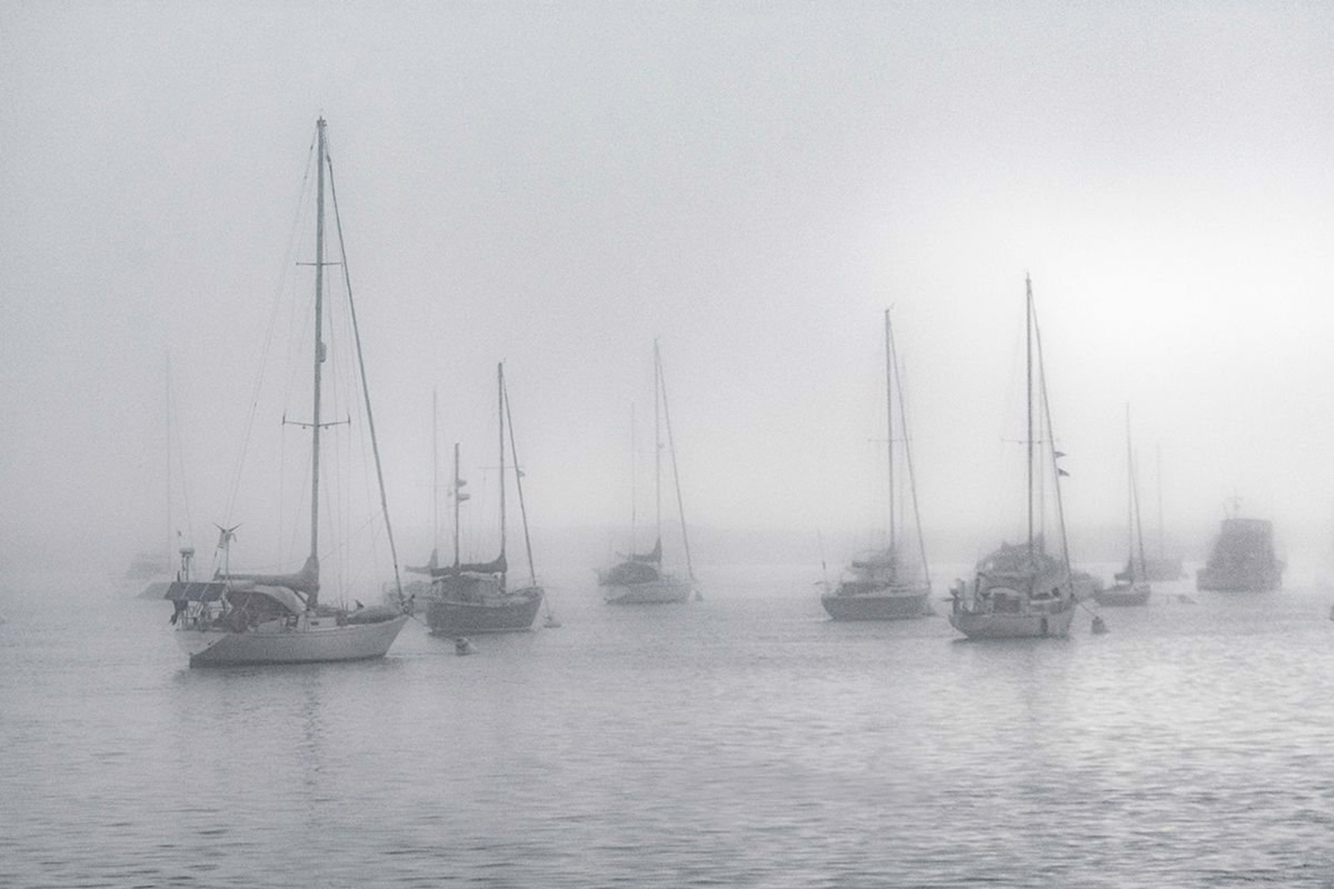 Morro Bay Boats by Anne Schlueter